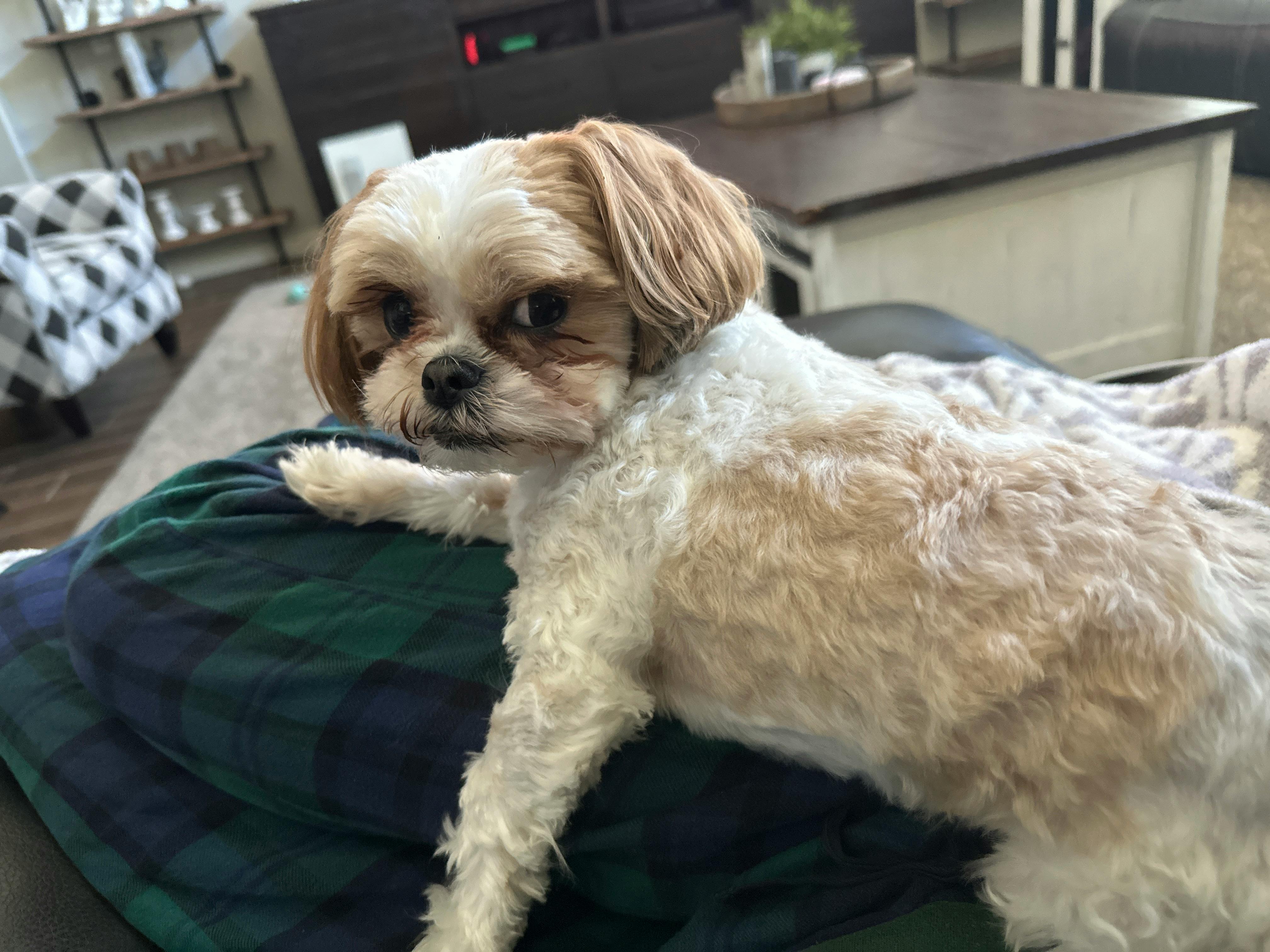user avatar image for rylee claridge