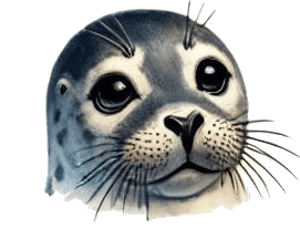 user avatar image for Seal