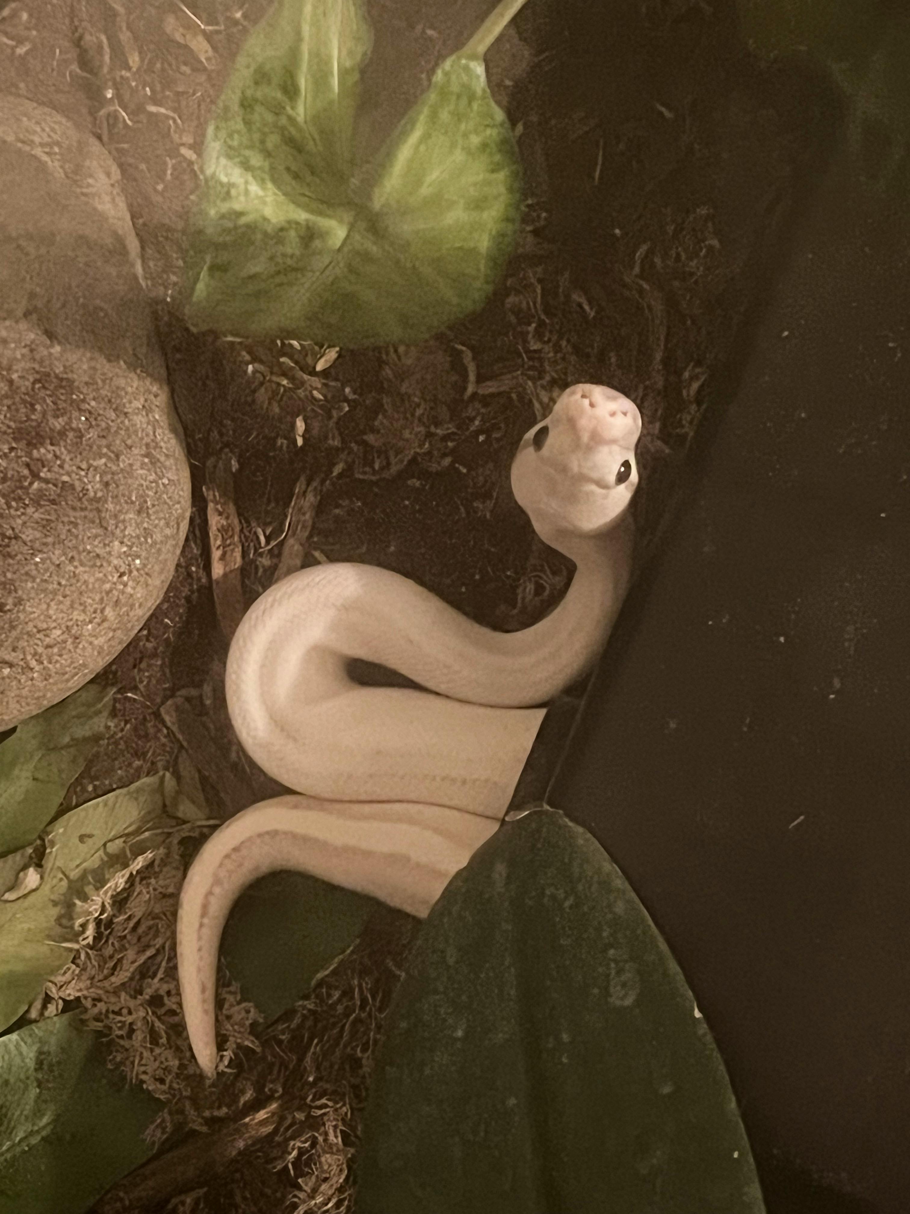 user avatar image for Mollie Wilkey