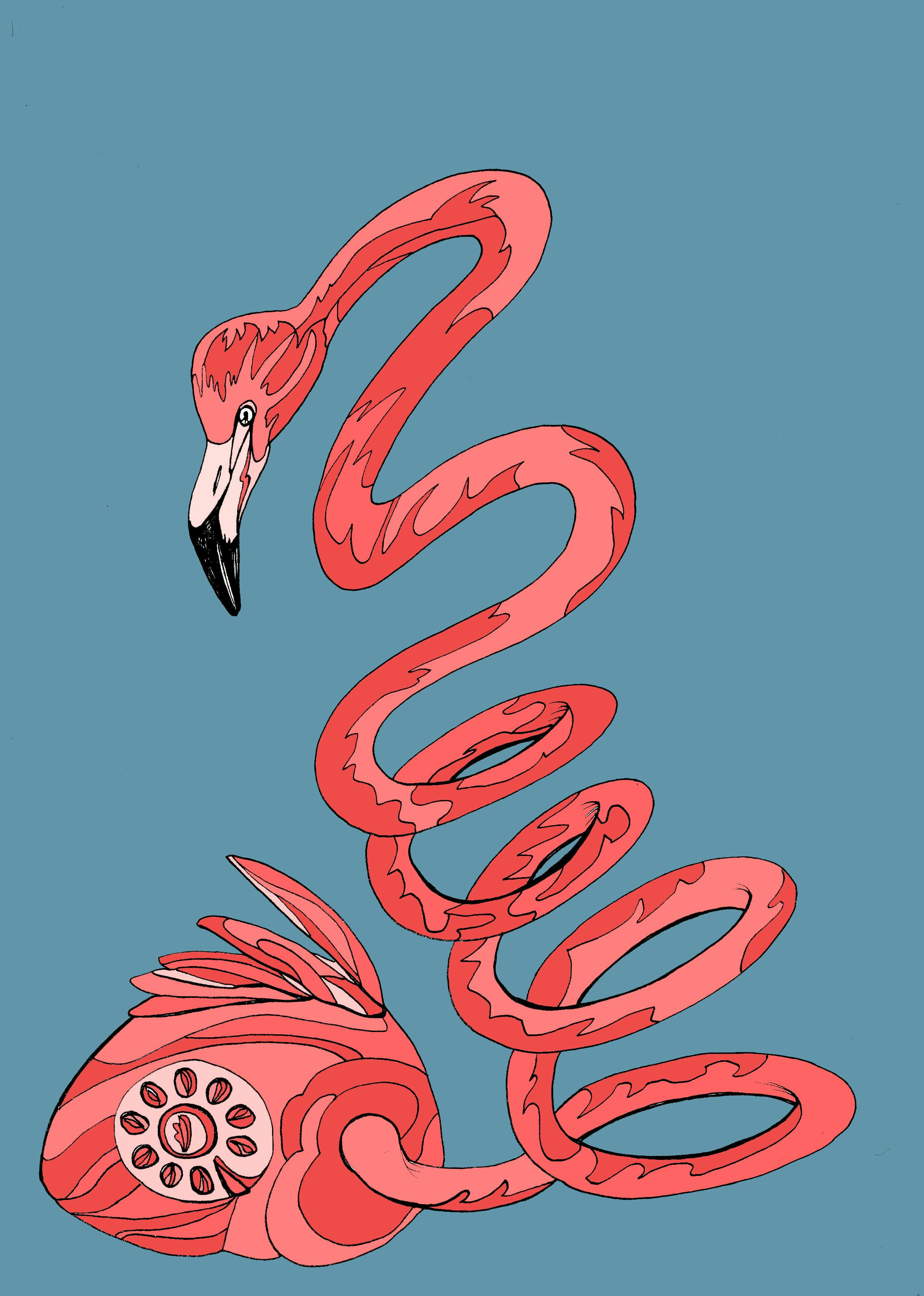 user avatar image for Sukes