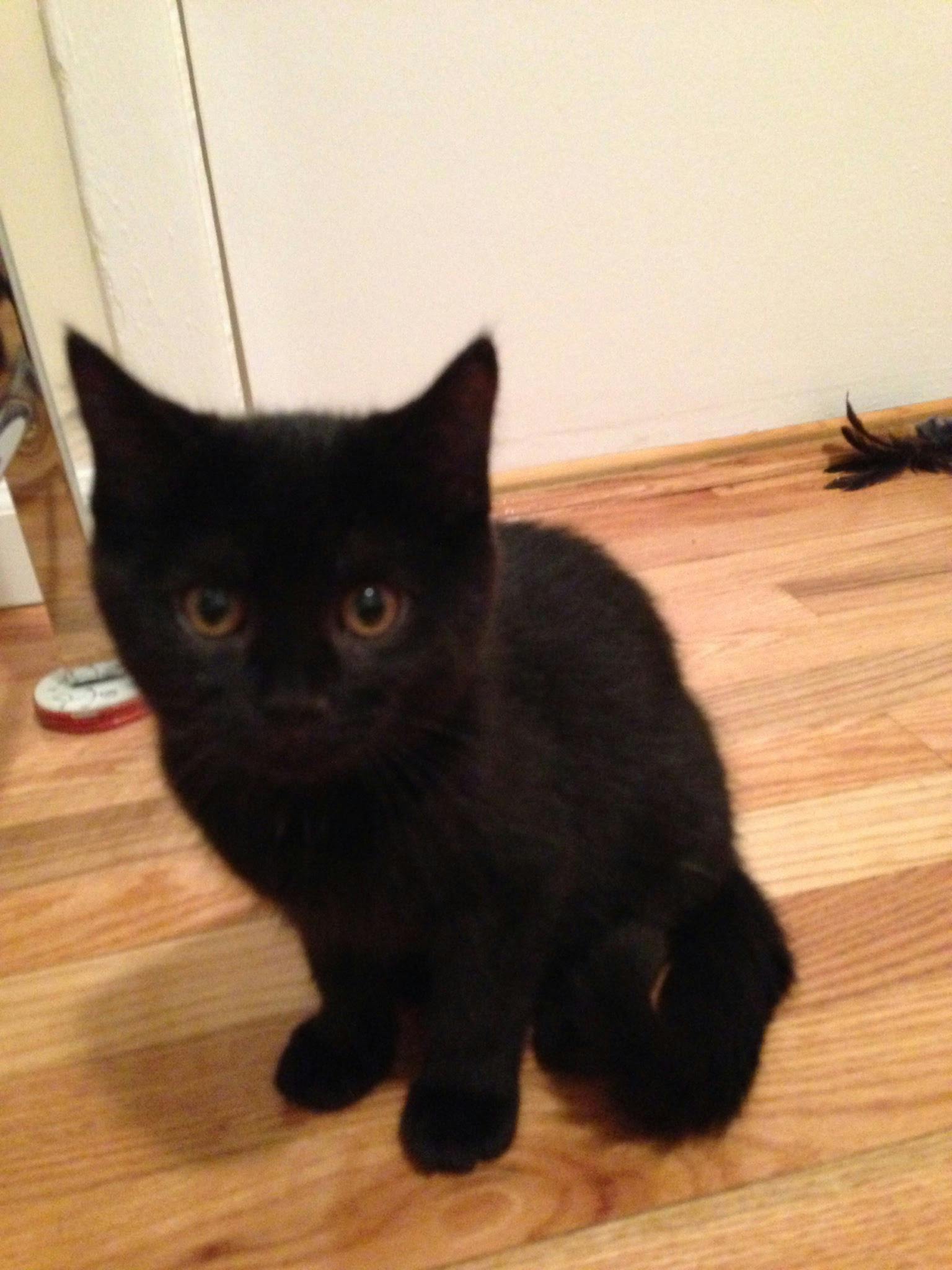 user avatar image for Jenn