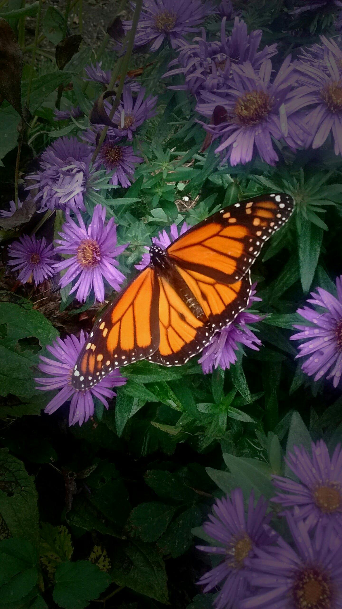 user avatar image for Ash