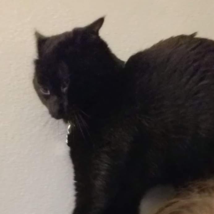 user avatar image for Clalelisiat