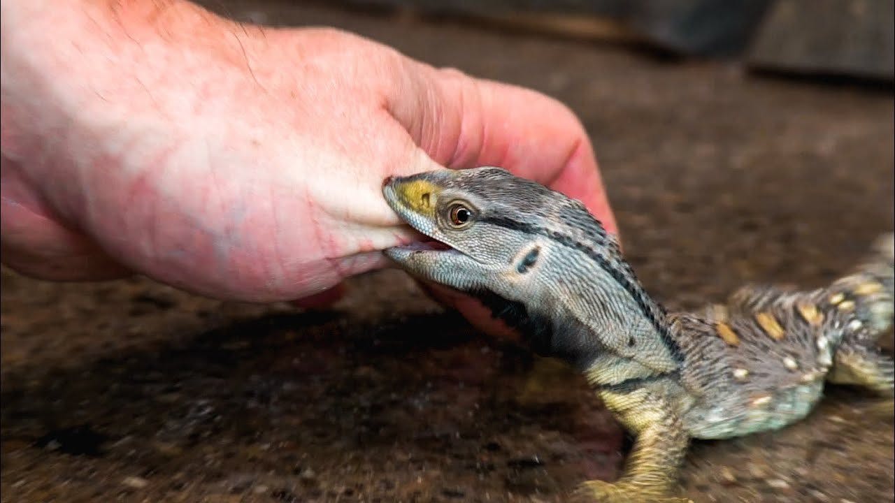 user avatar image for emenopy