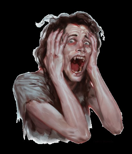 user avatar image for HiHo