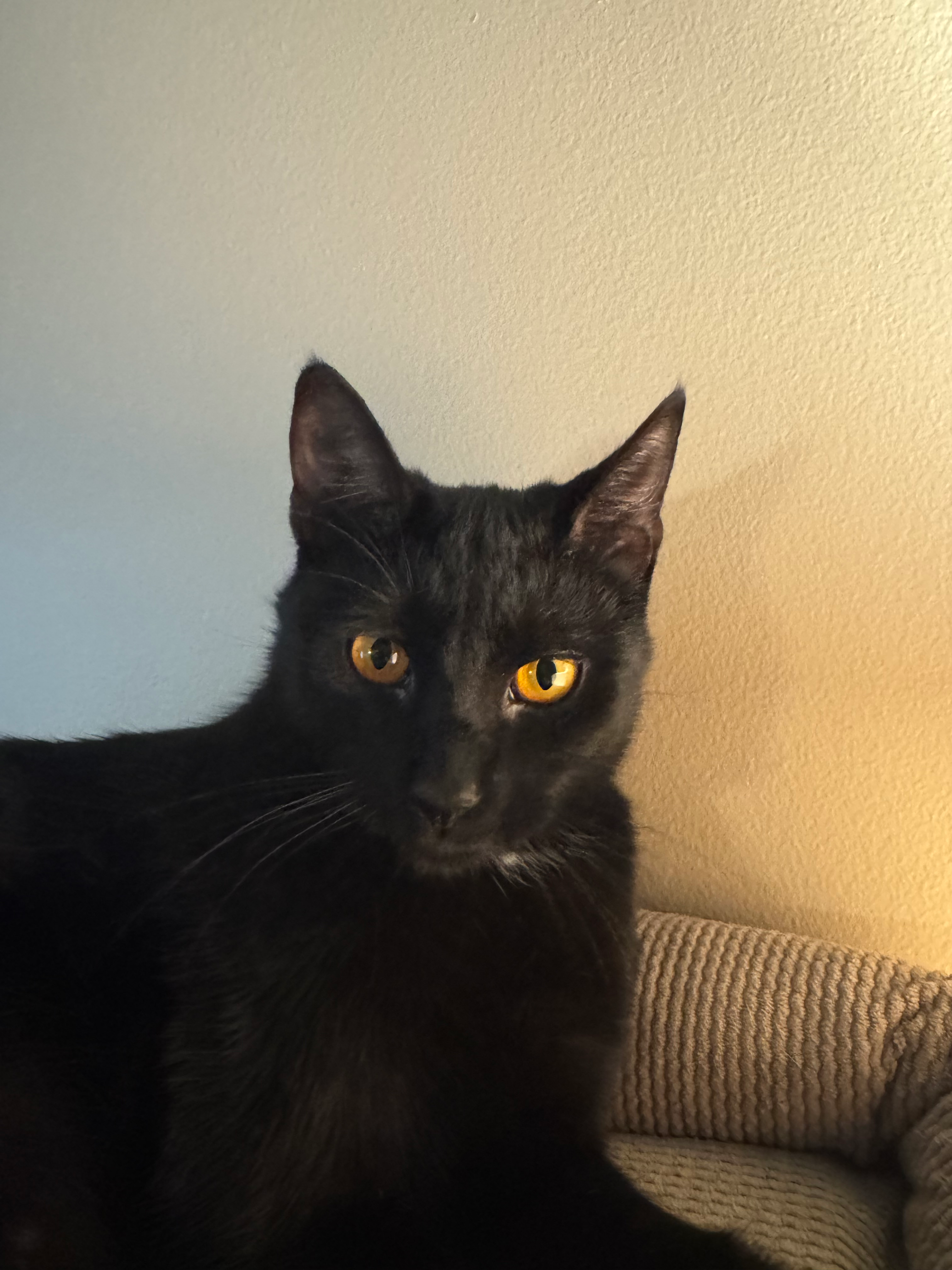 user avatar image for Jeff Werkhiser