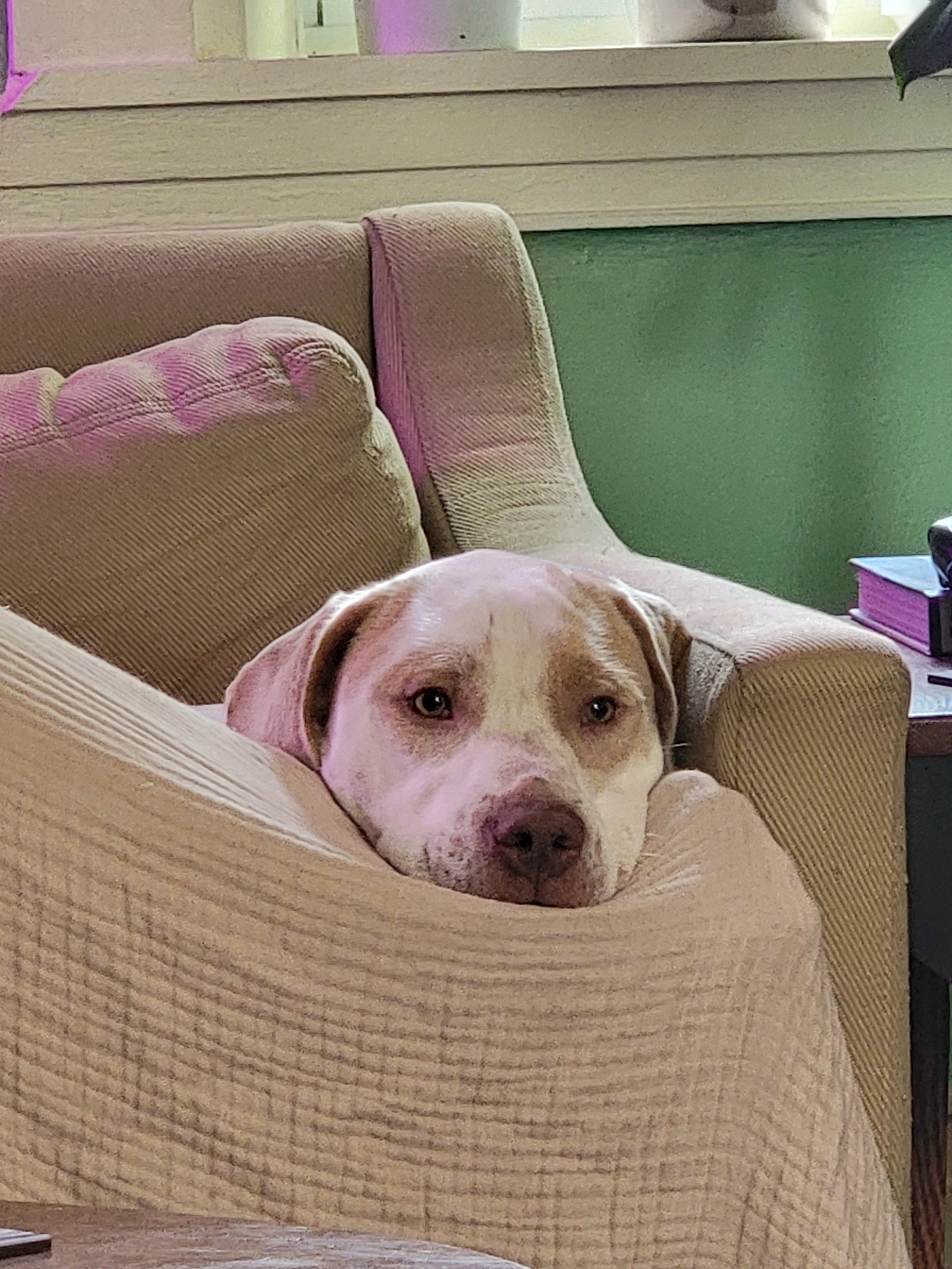 user avatar image for John