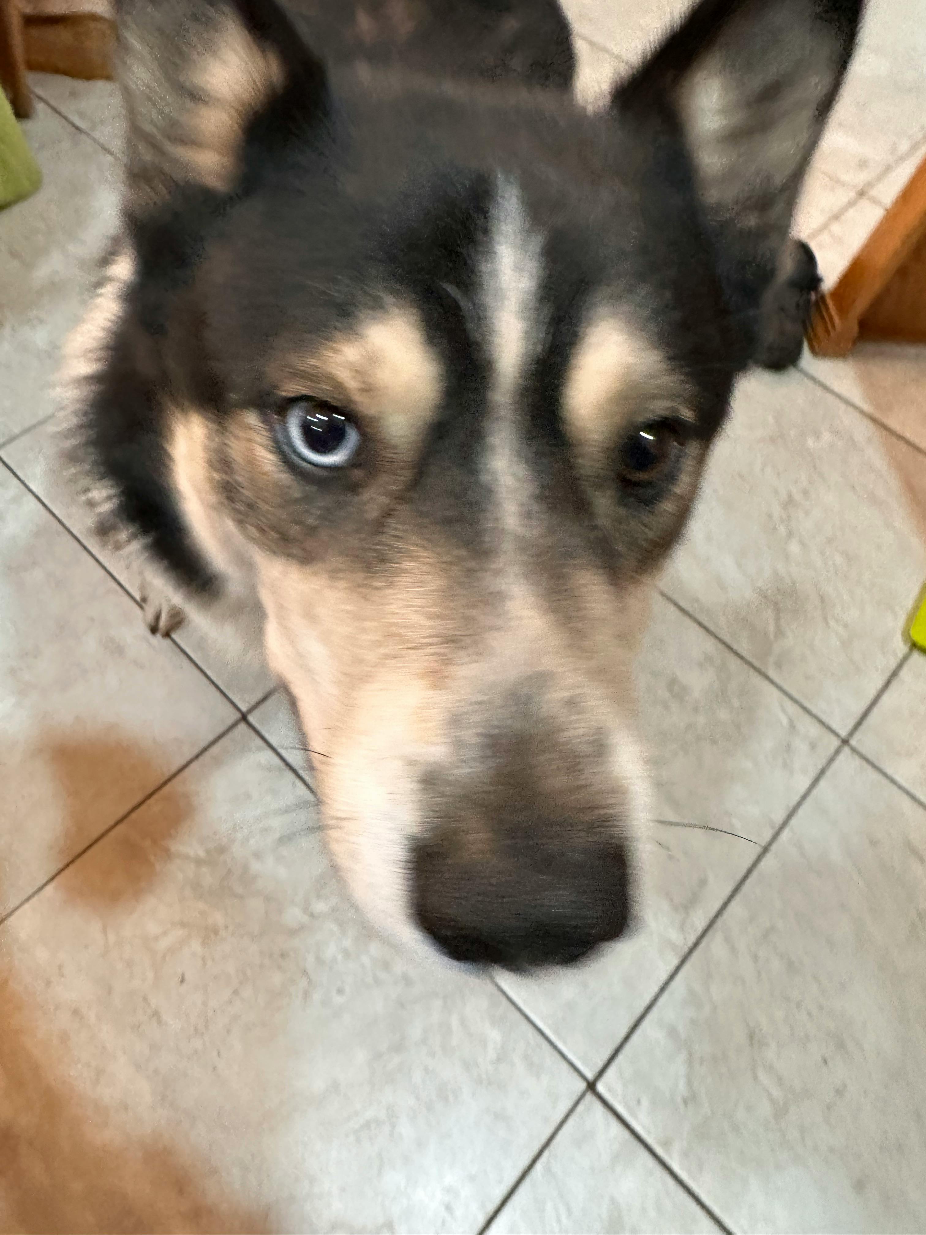 user avatar image for Isabella A