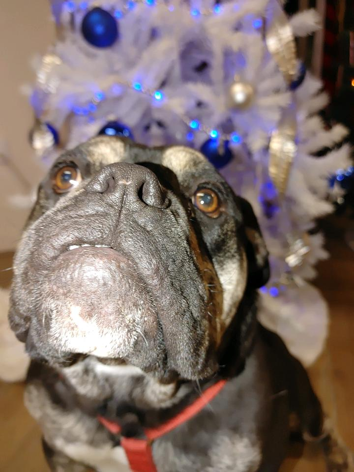 user avatar image for soulshifter