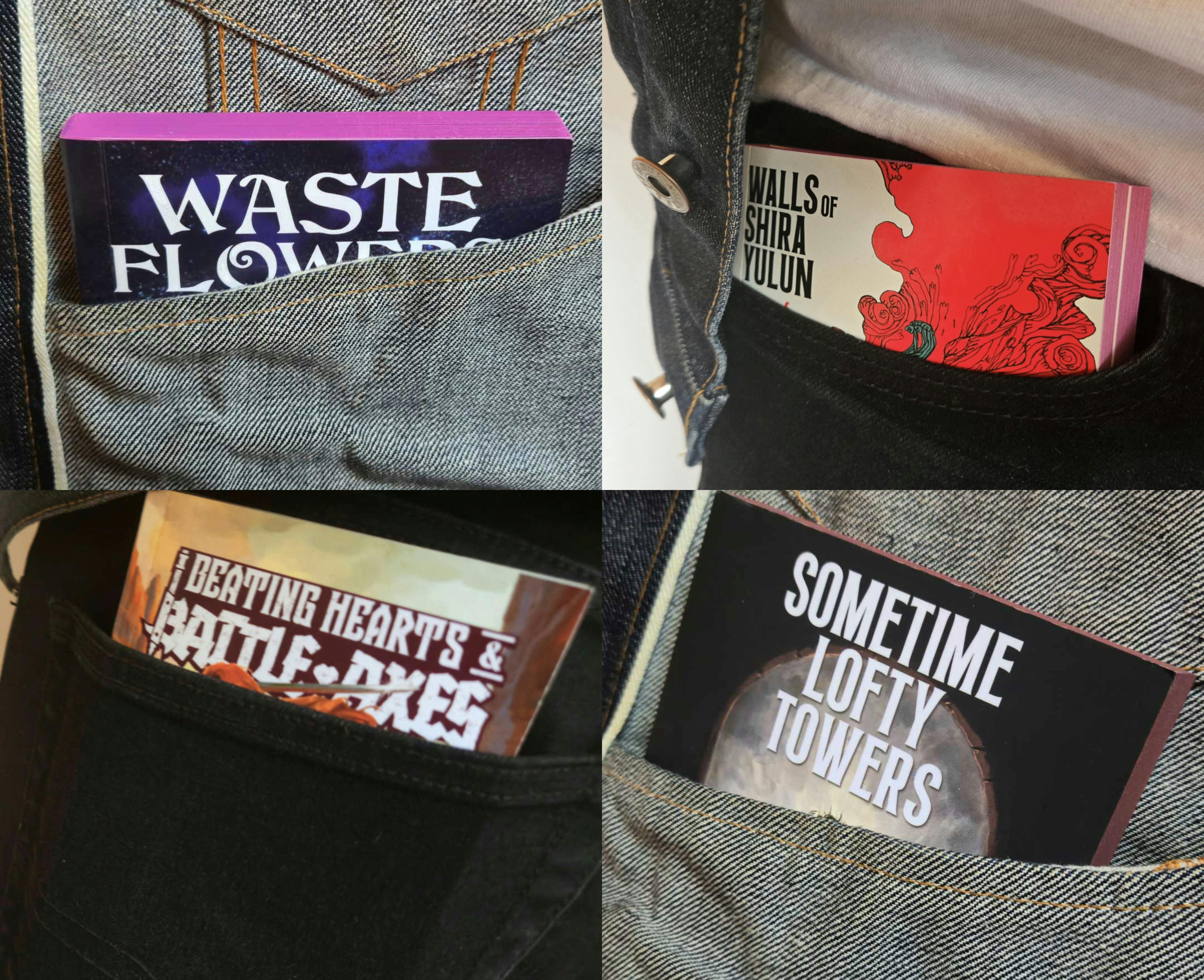  A picture frame split into four quadrants, each showing off a different Sword & Sorcery paperback in a pocket. 