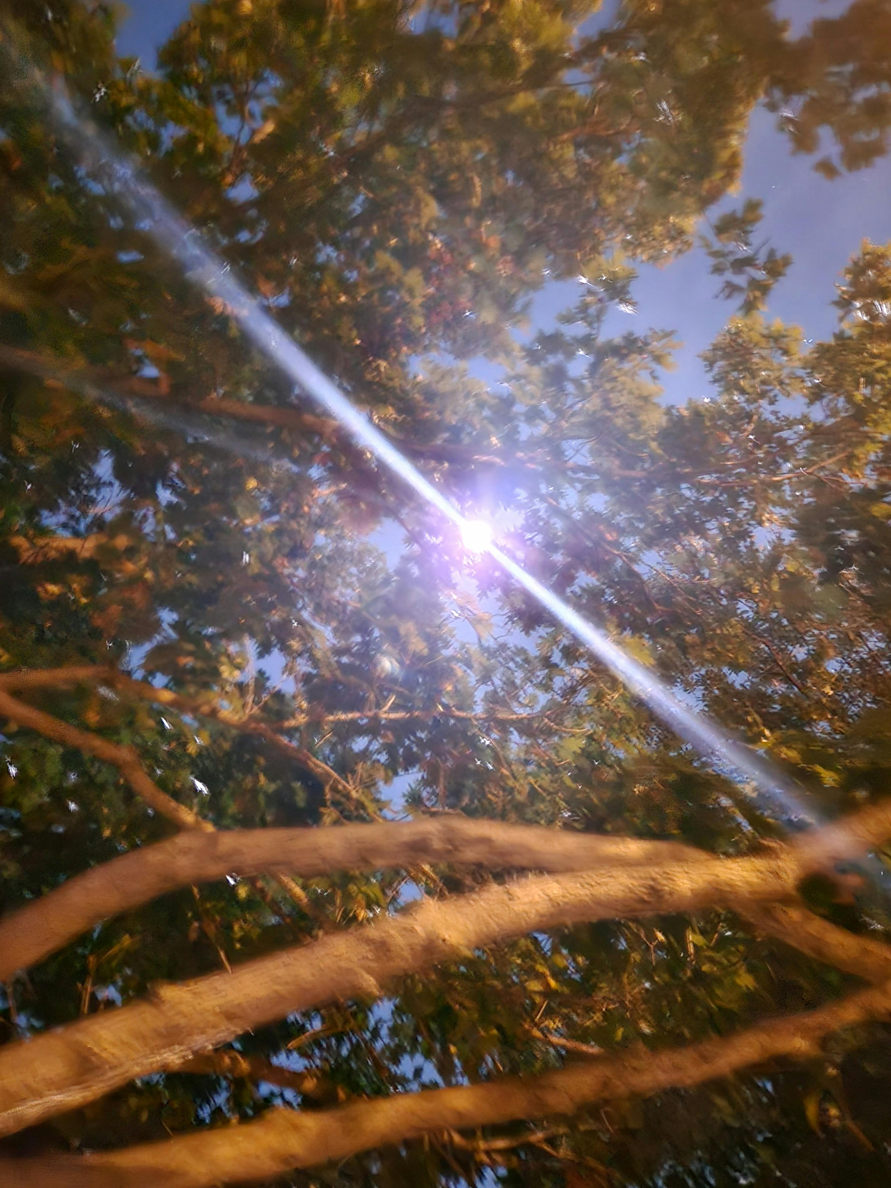 user avatar image for Damon English