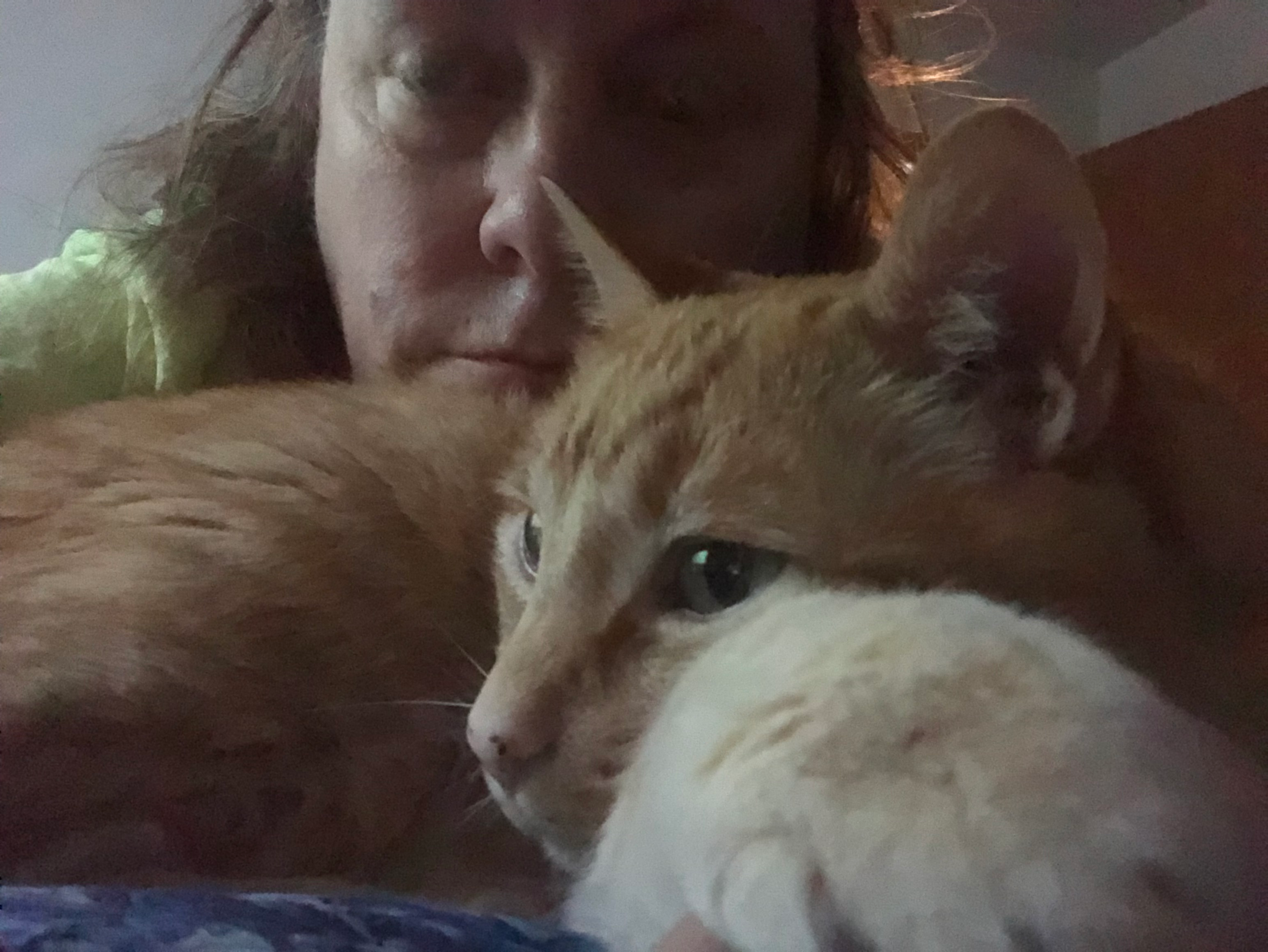 user avatar image for Jenifer Aydelotte