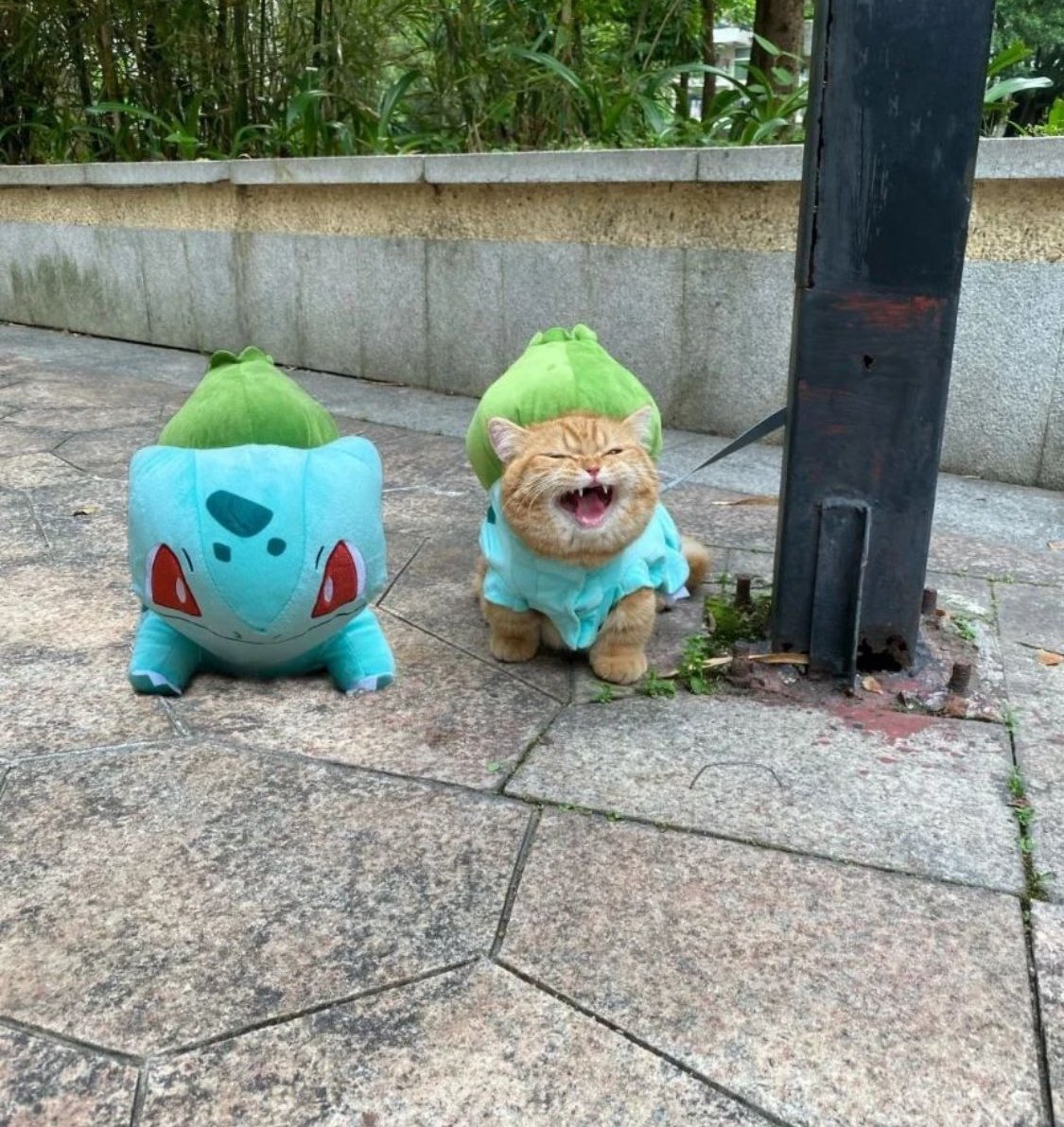 user avatar image for Morgan Olson