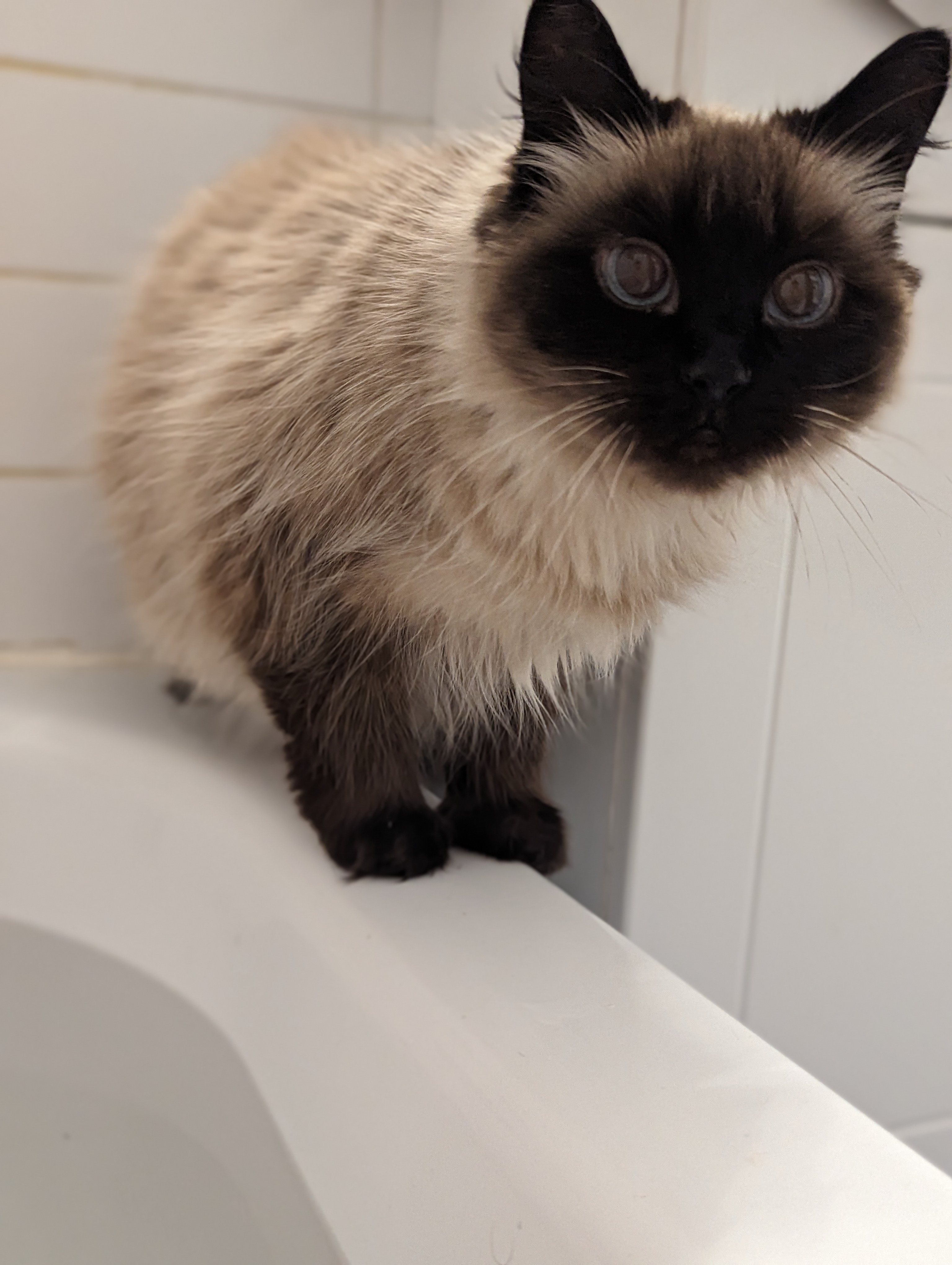 user avatar image for Olivier