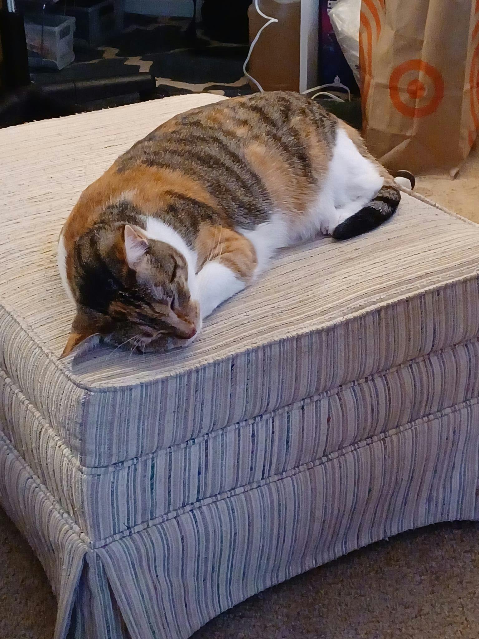 user avatar image for Brenda Thorpe