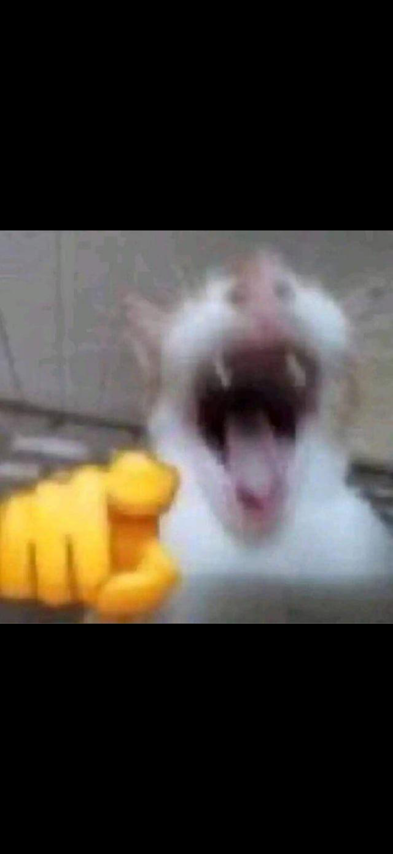 user avatar image for Larissa Treto