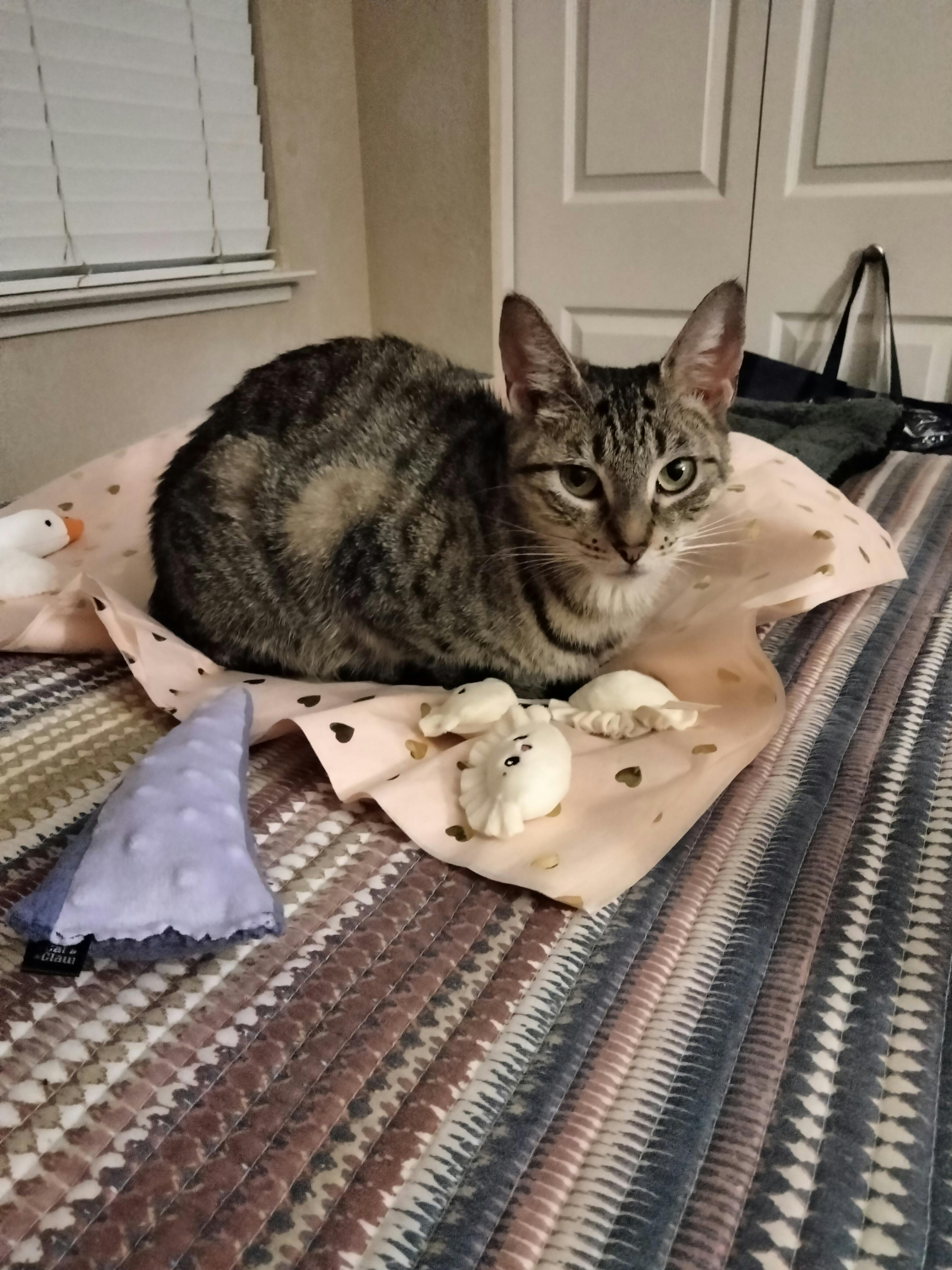 user avatar image for Jasmine Bushrod