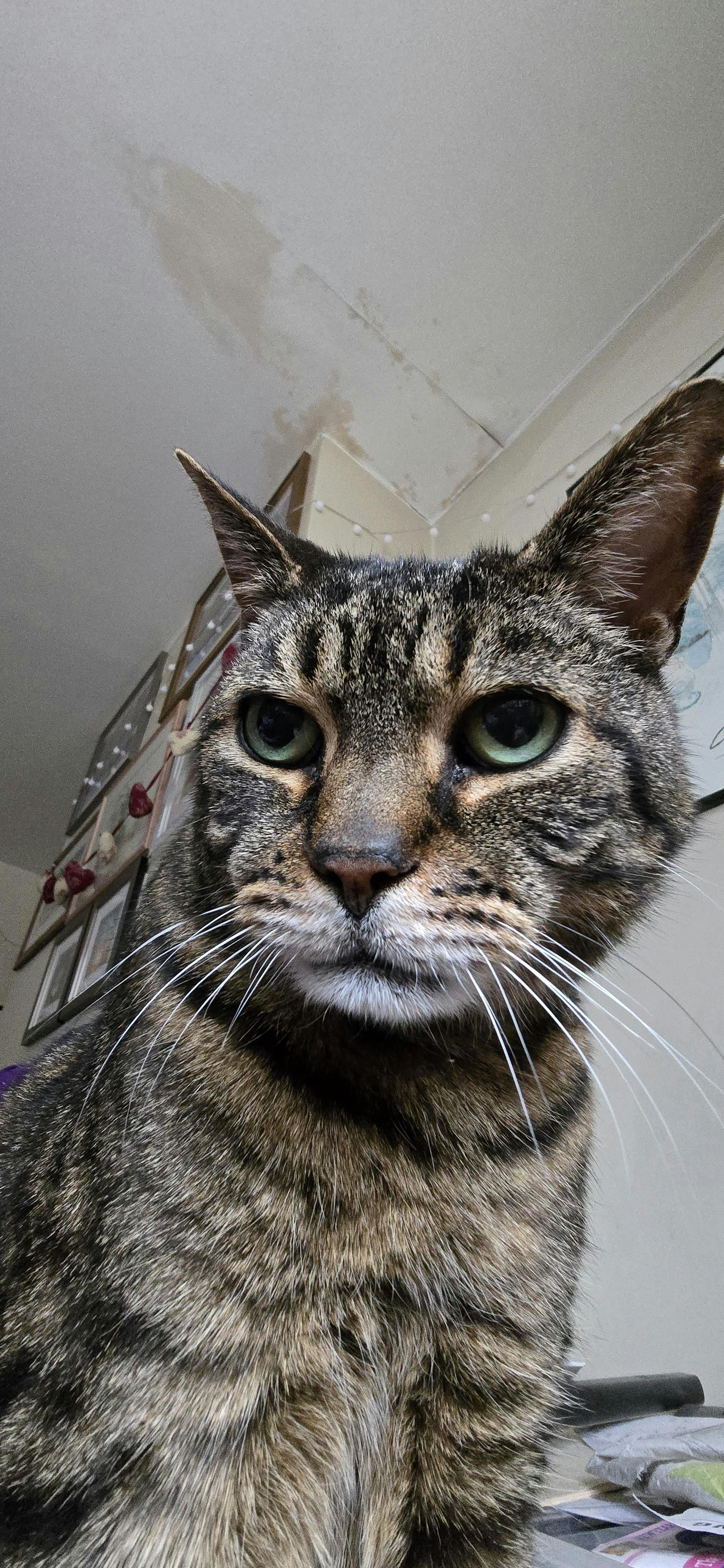 user avatar image for Louiza Mills