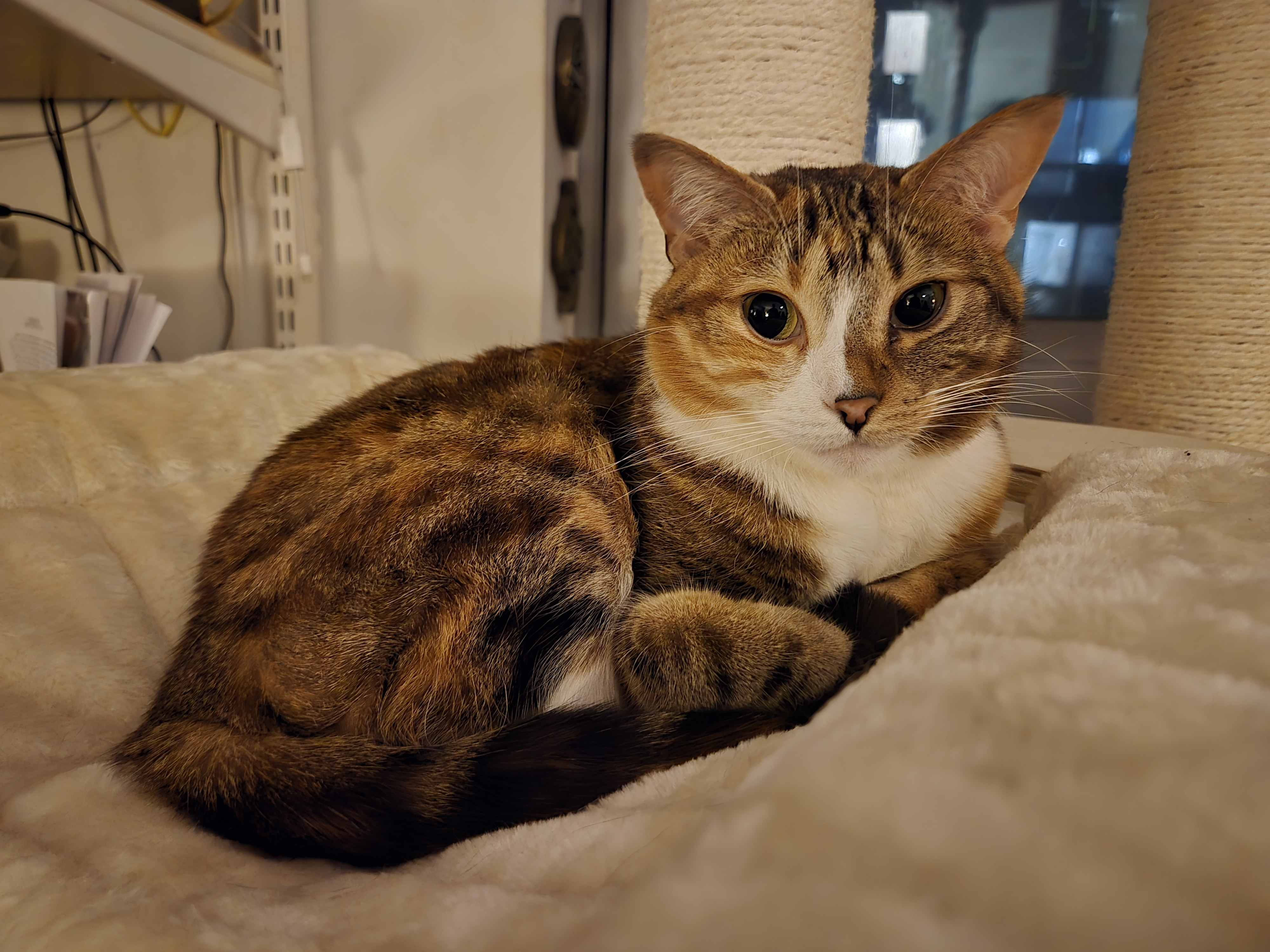 user avatar image for Christopher Hiller