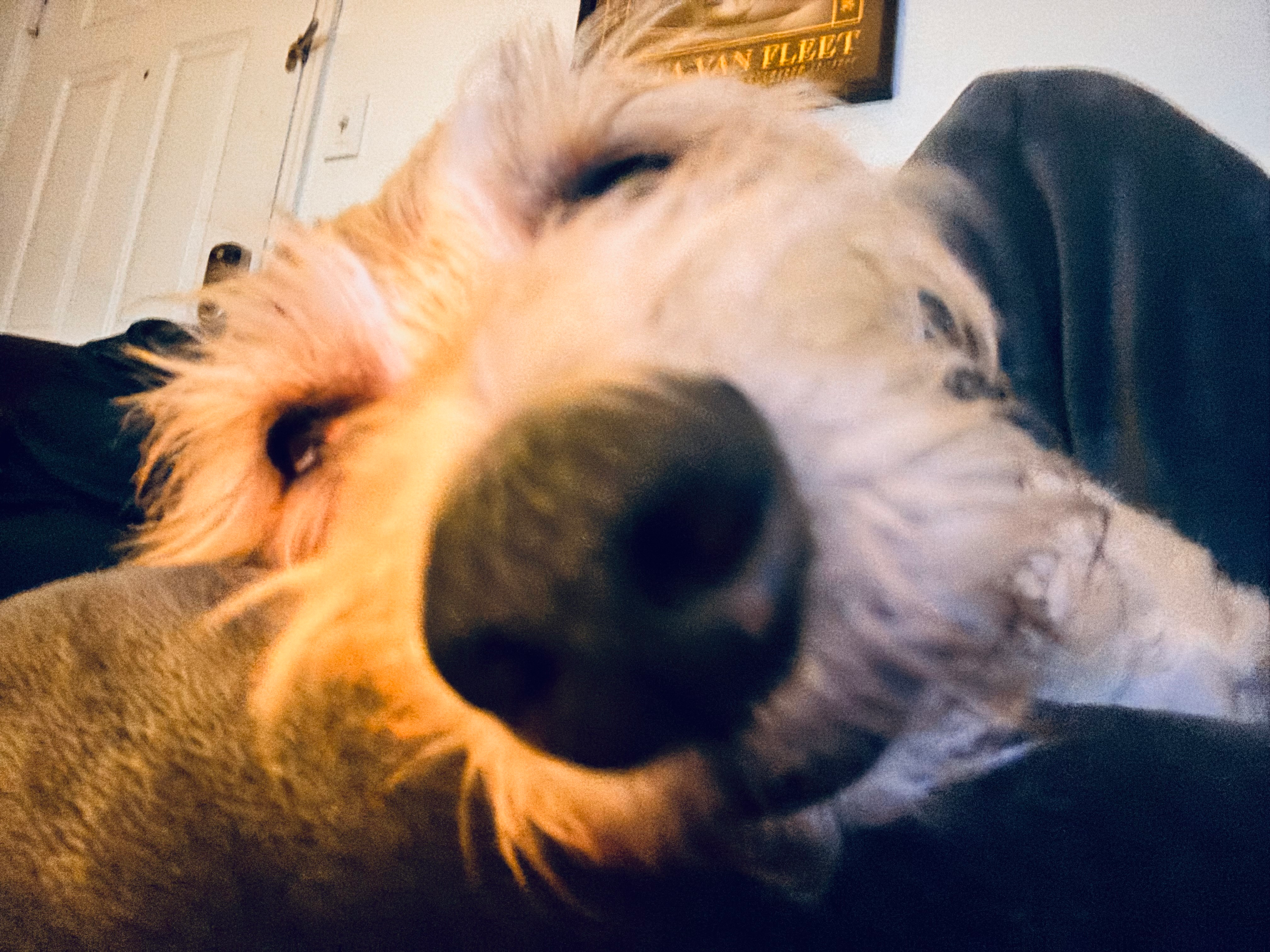 user avatar image for N. Dawson