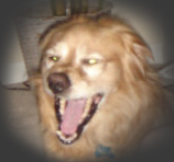 user avatar image for Jonathan S.