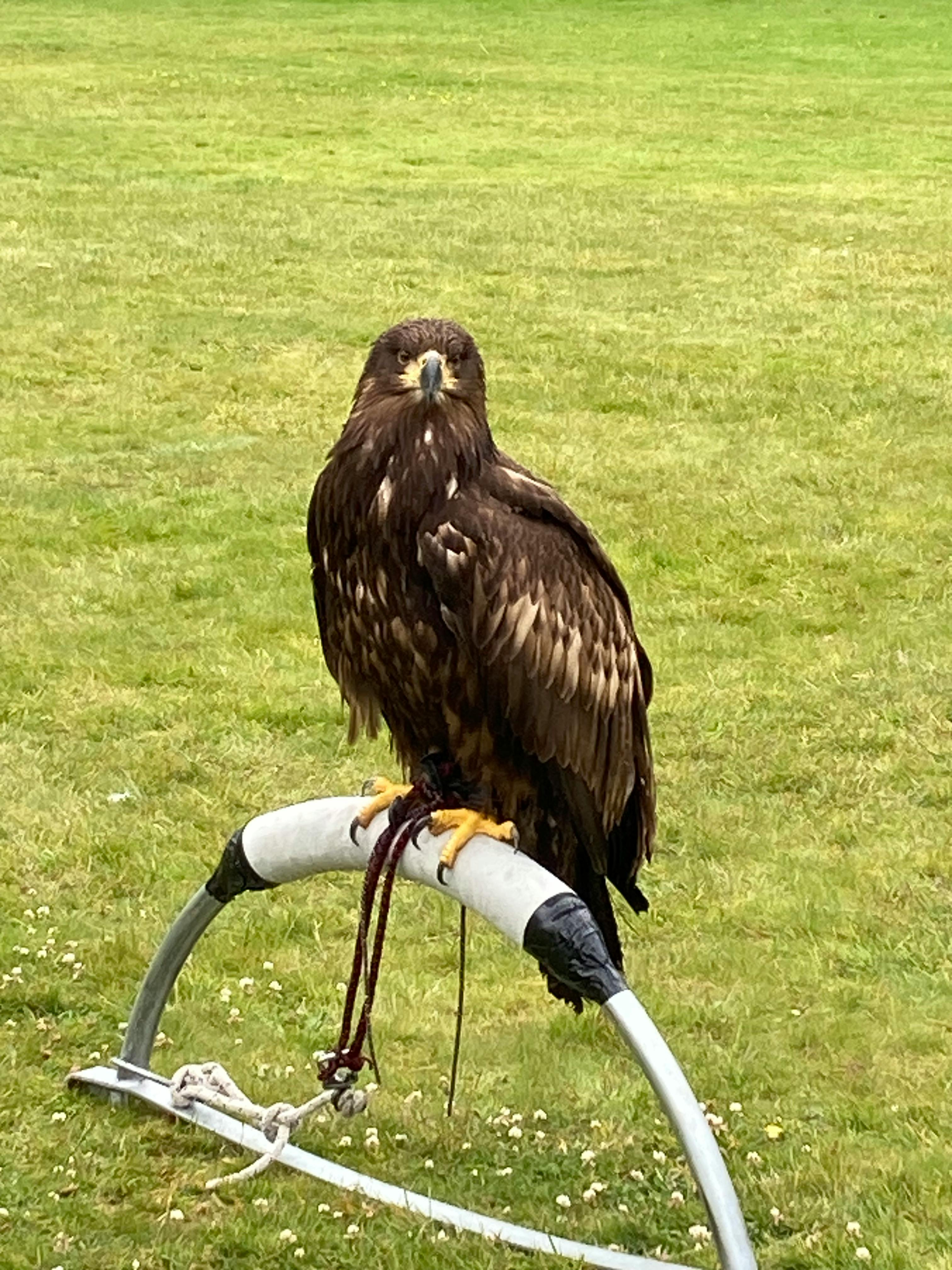 user avatar image for John VanDenBerg