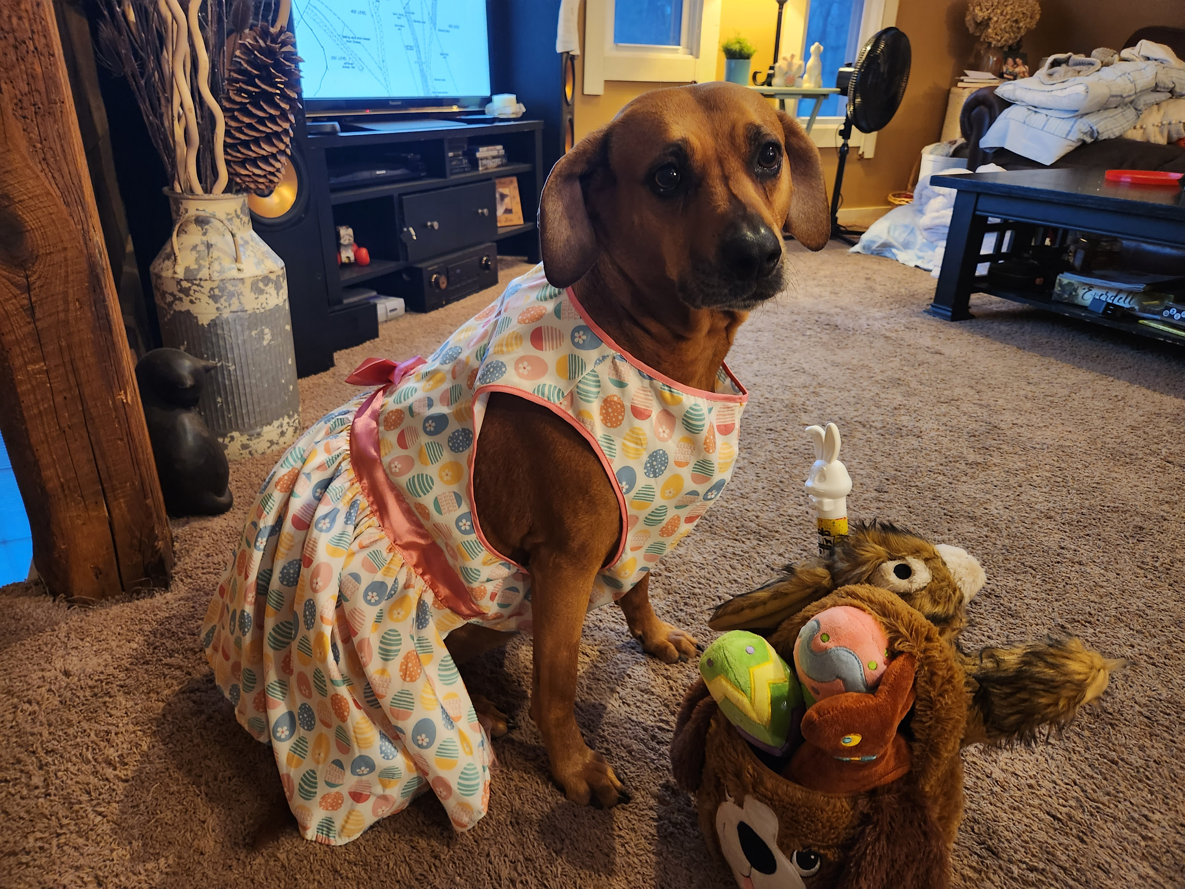 user avatar image for Mae