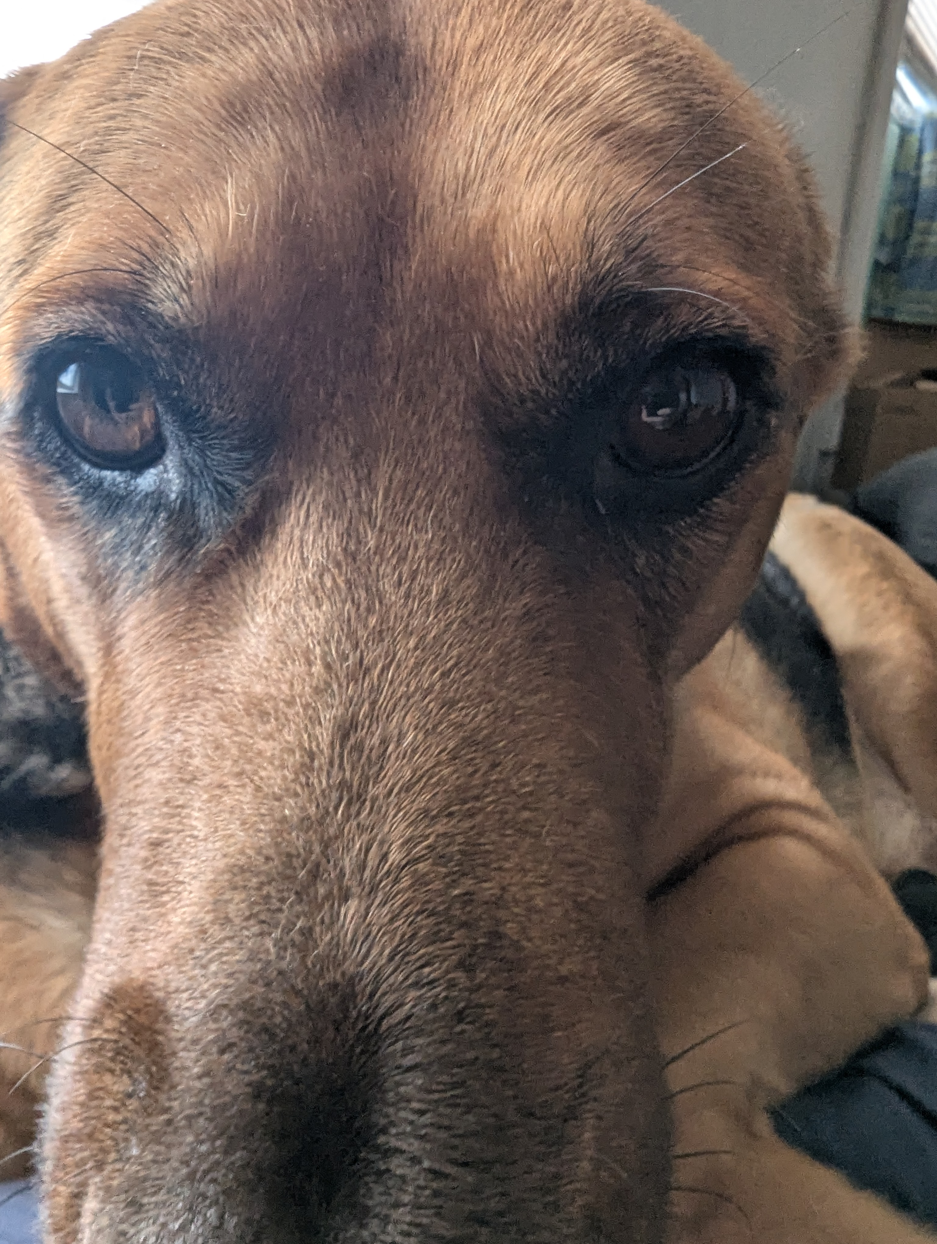 user avatar image for Richdor