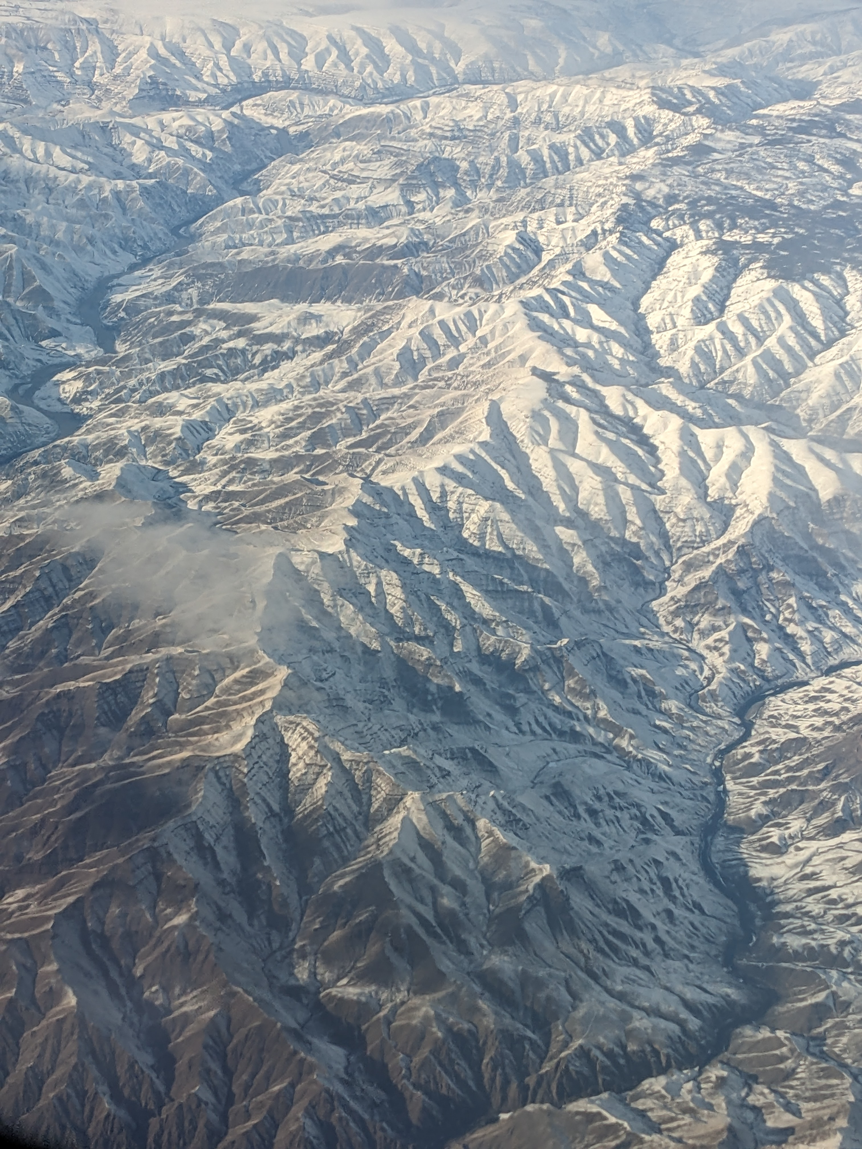 user avatar image for Abigail