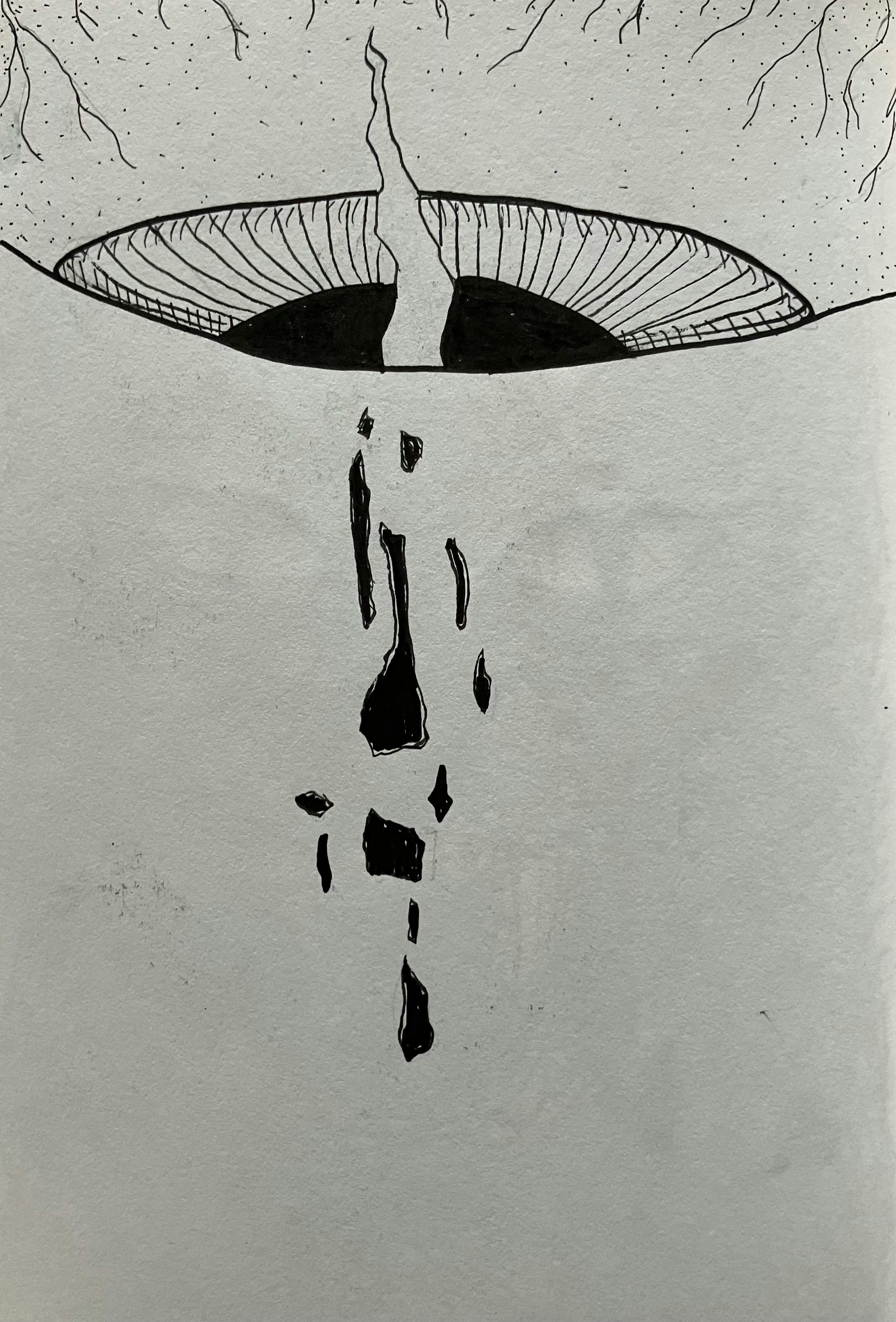 user avatar image for Vic_325