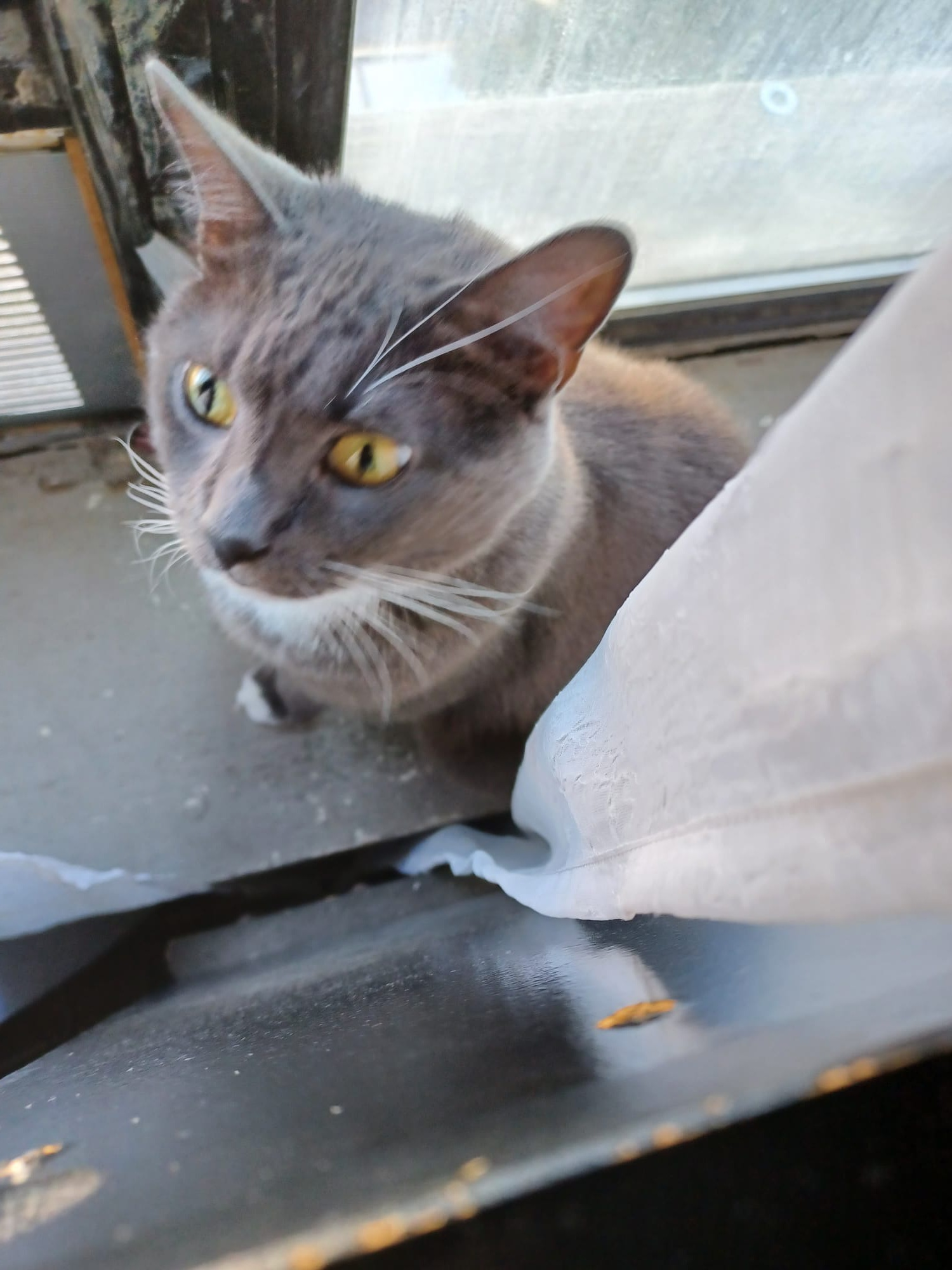 user avatar image for Andrea