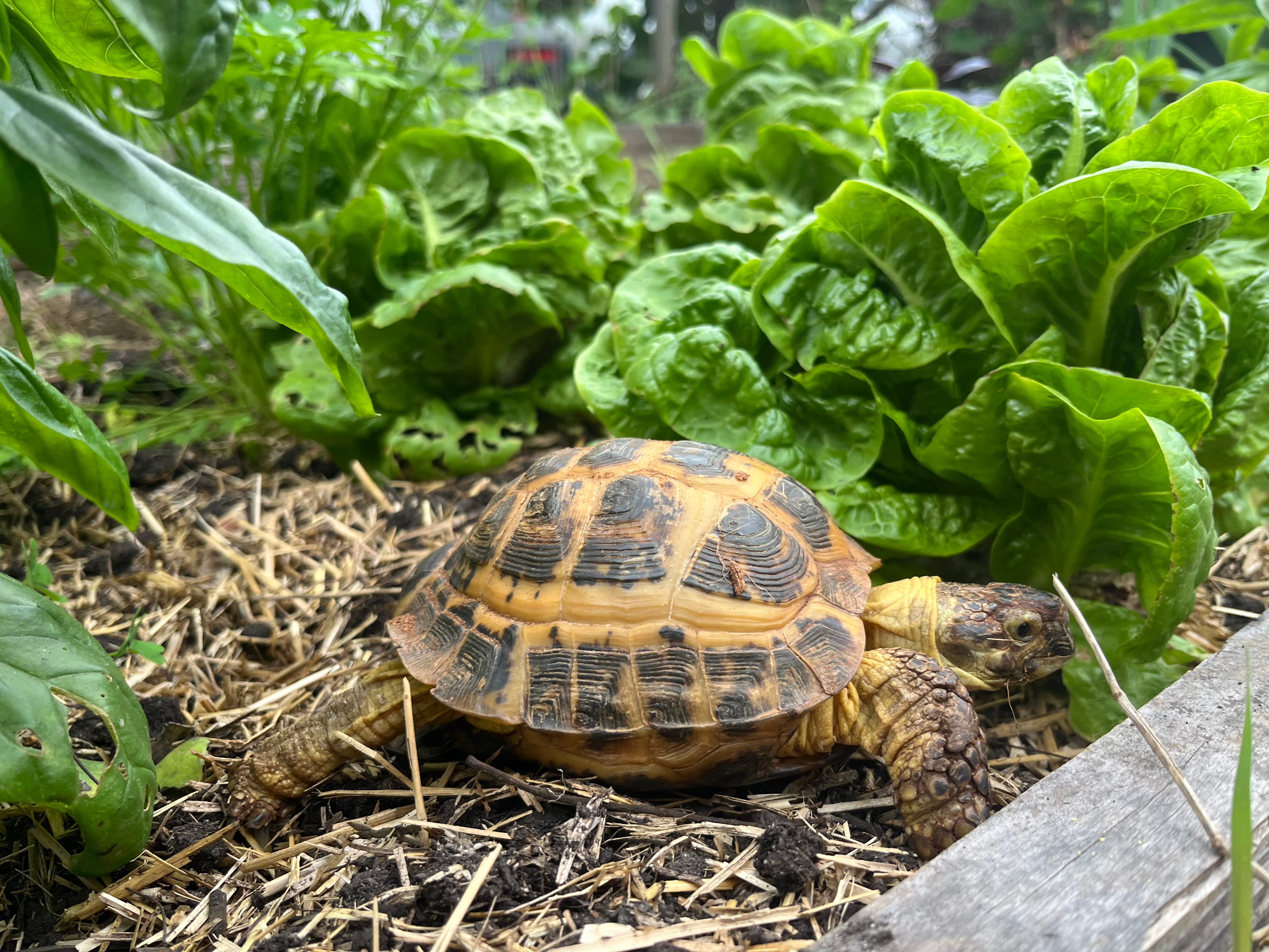 user avatar image for Anna