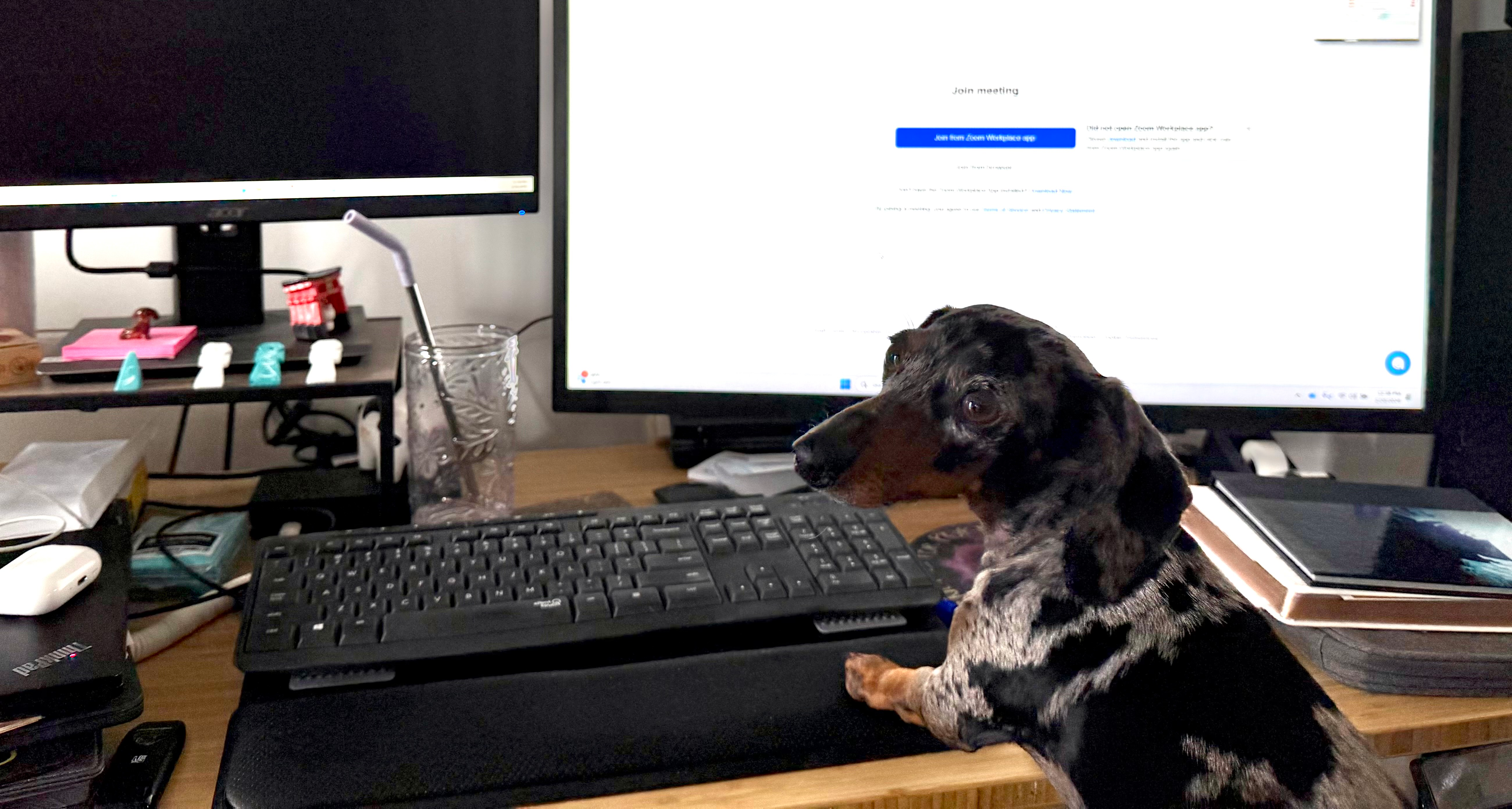 user avatar image for Chris