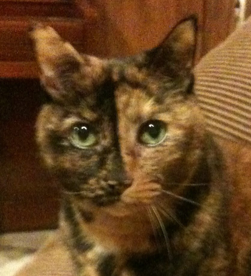 user avatar image for qwertypresser