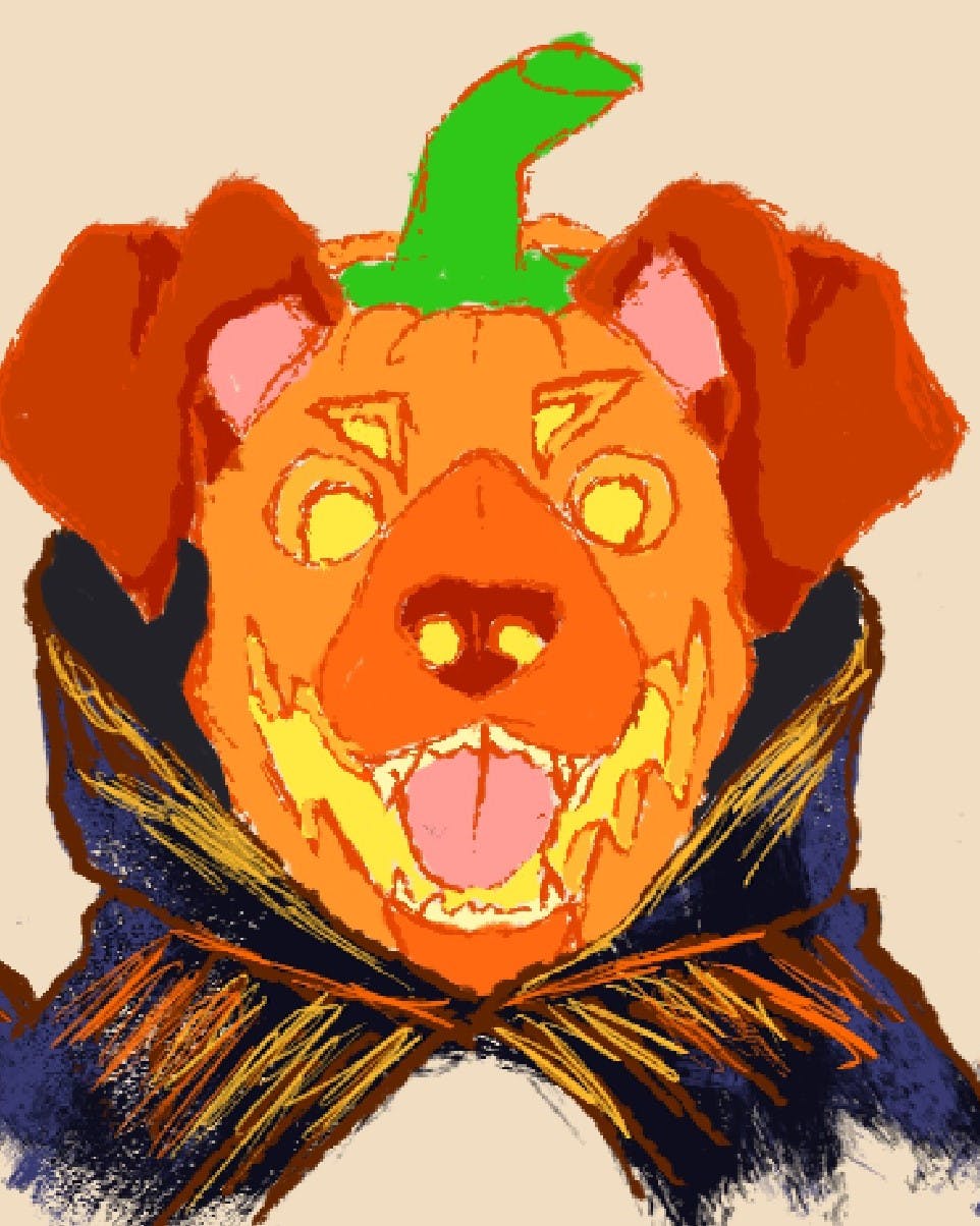 Pumpkin Pup (Jack Russel)