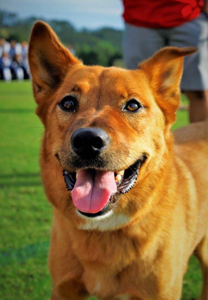 user avatar image for Walt