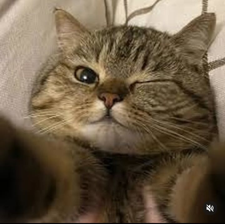 user avatar image for Danny L