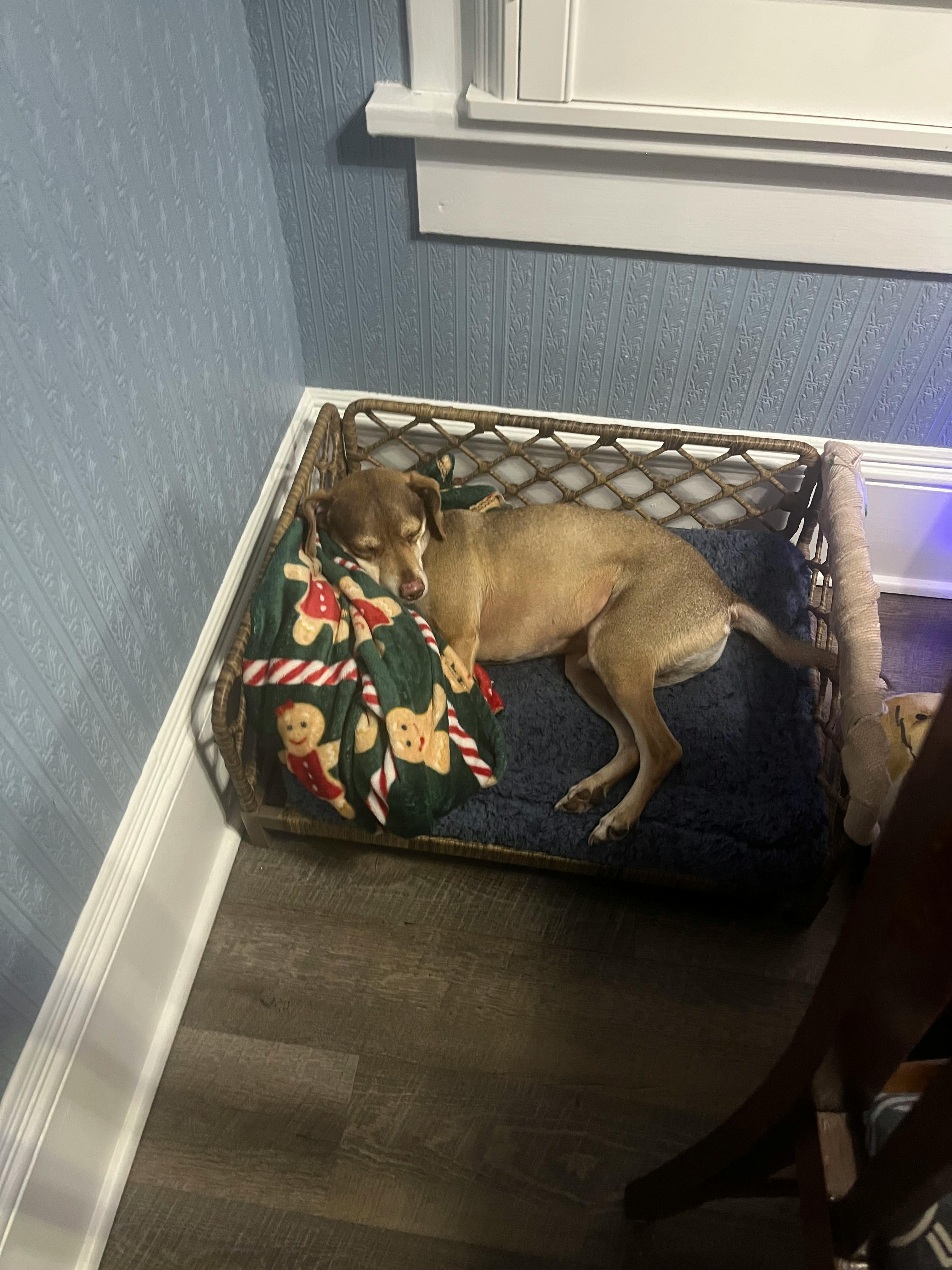 user avatar image for Mia Lopez