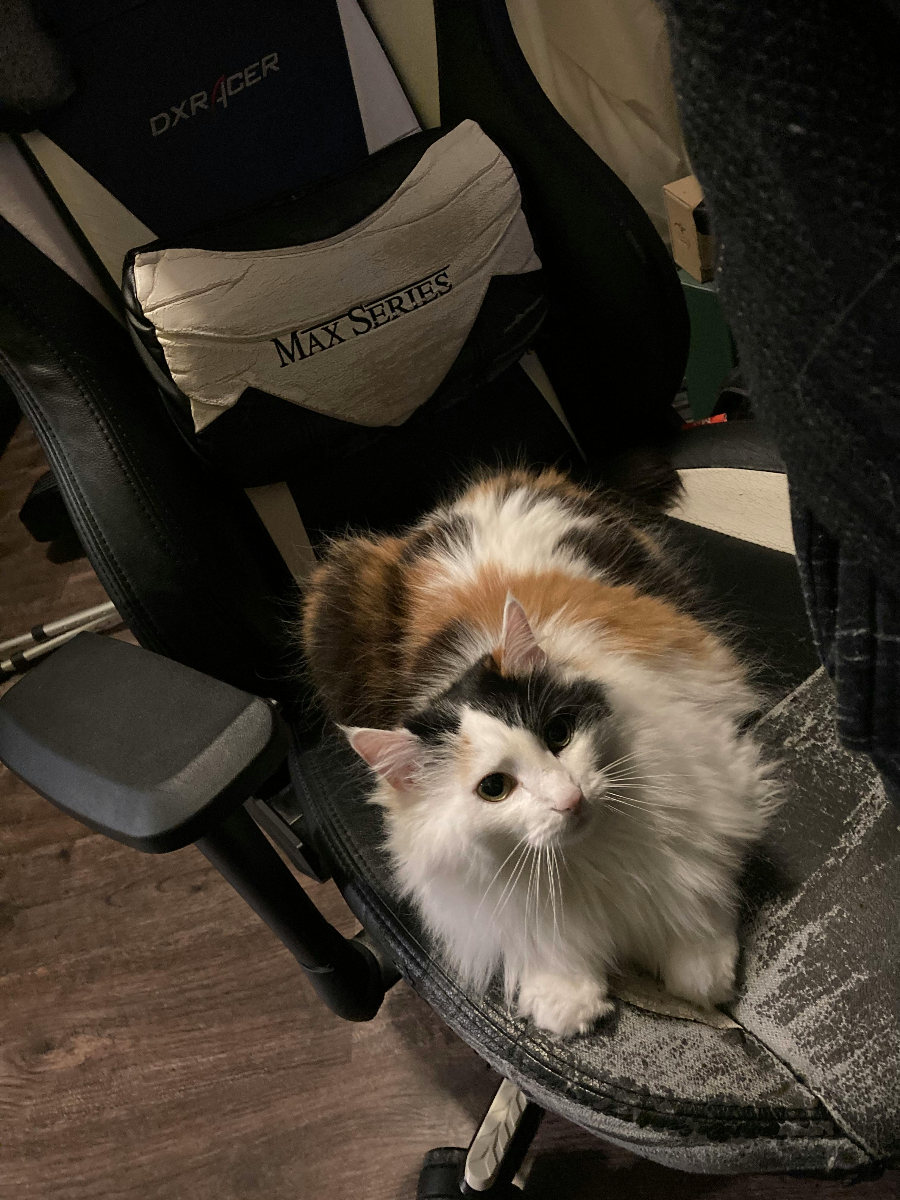 user avatar image for Classicwatt