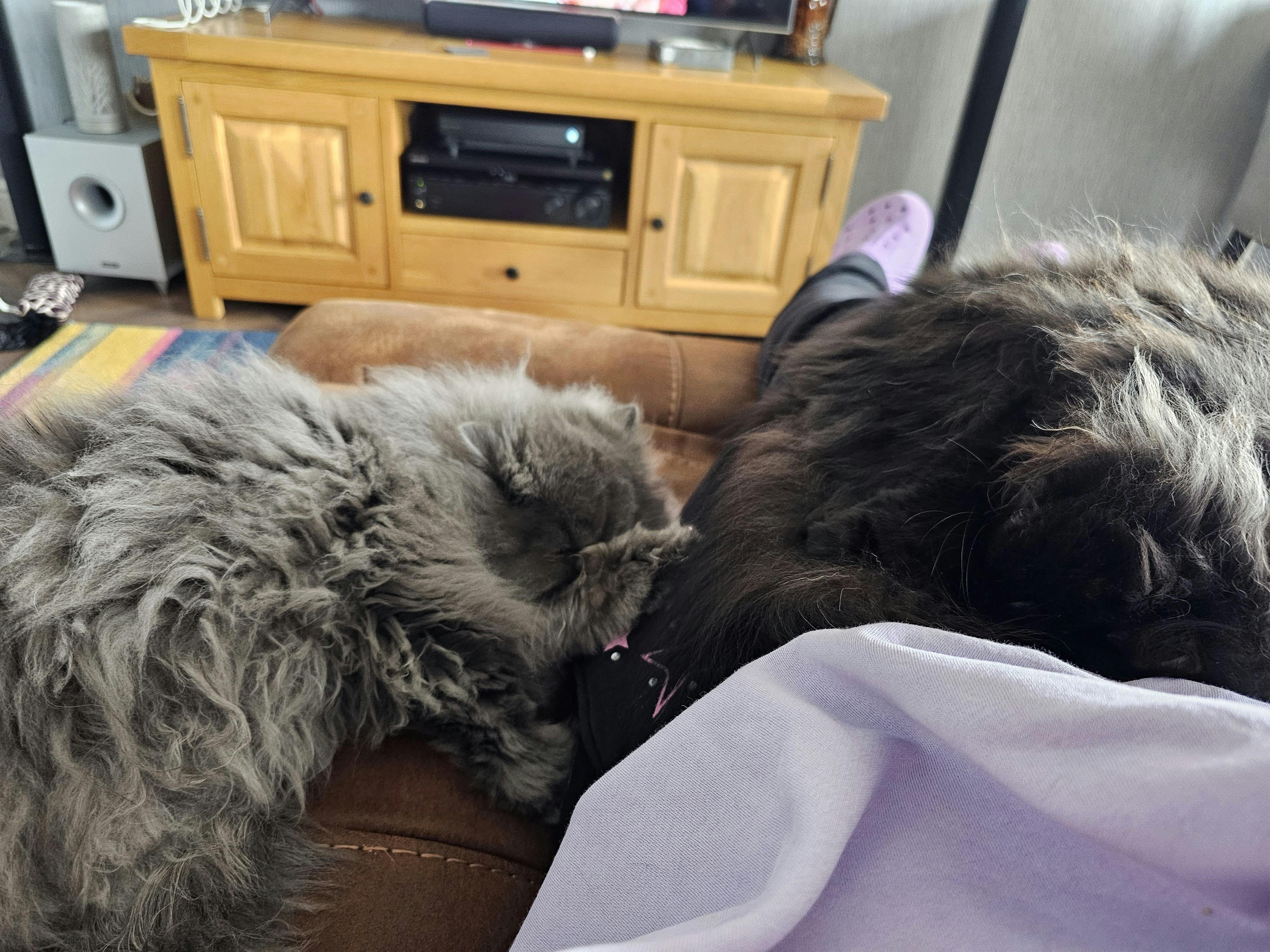 user avatar image for Joanna Duff 