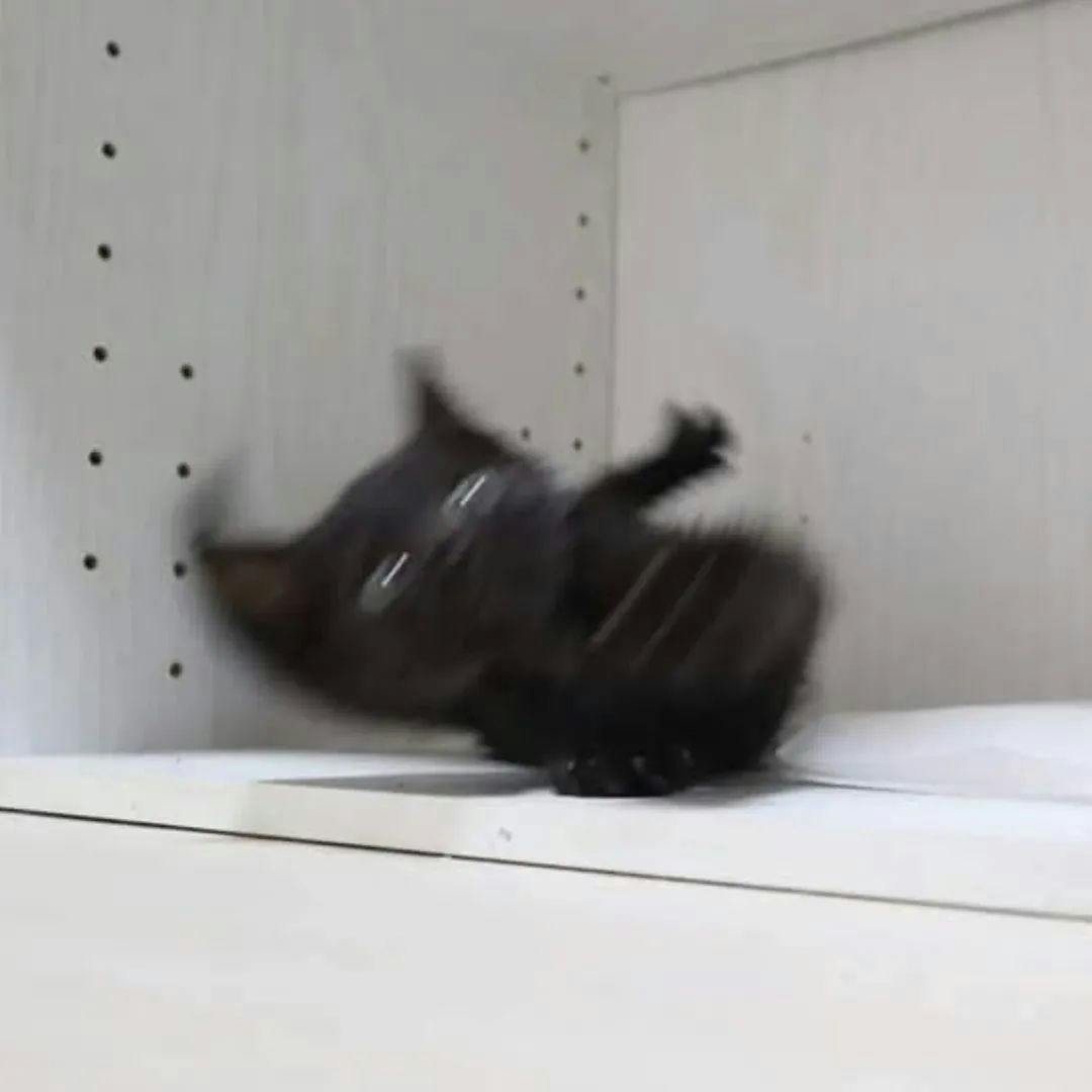 user avatar image for Aneera Miller