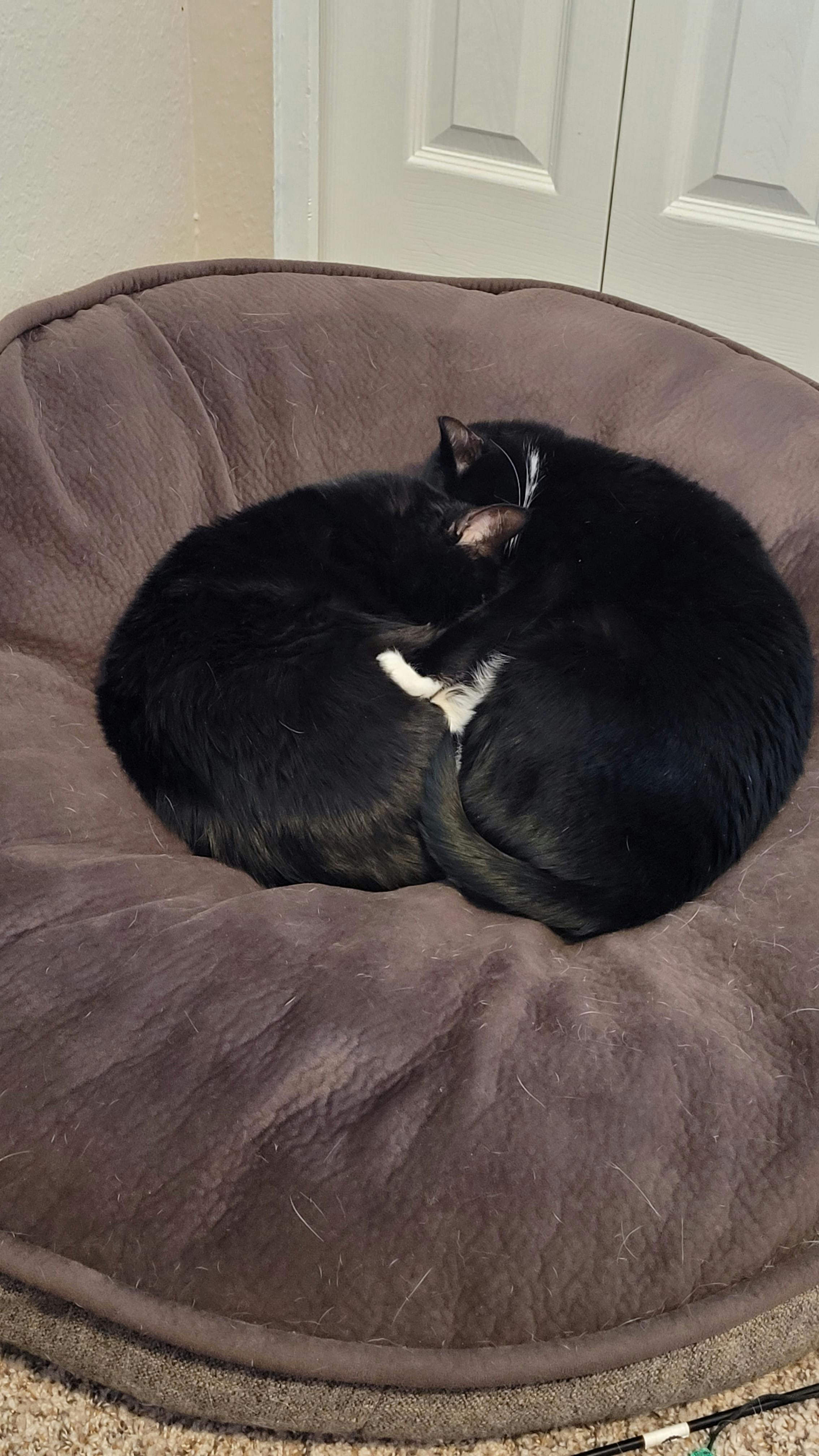 user avatar image for Bruce Knighton