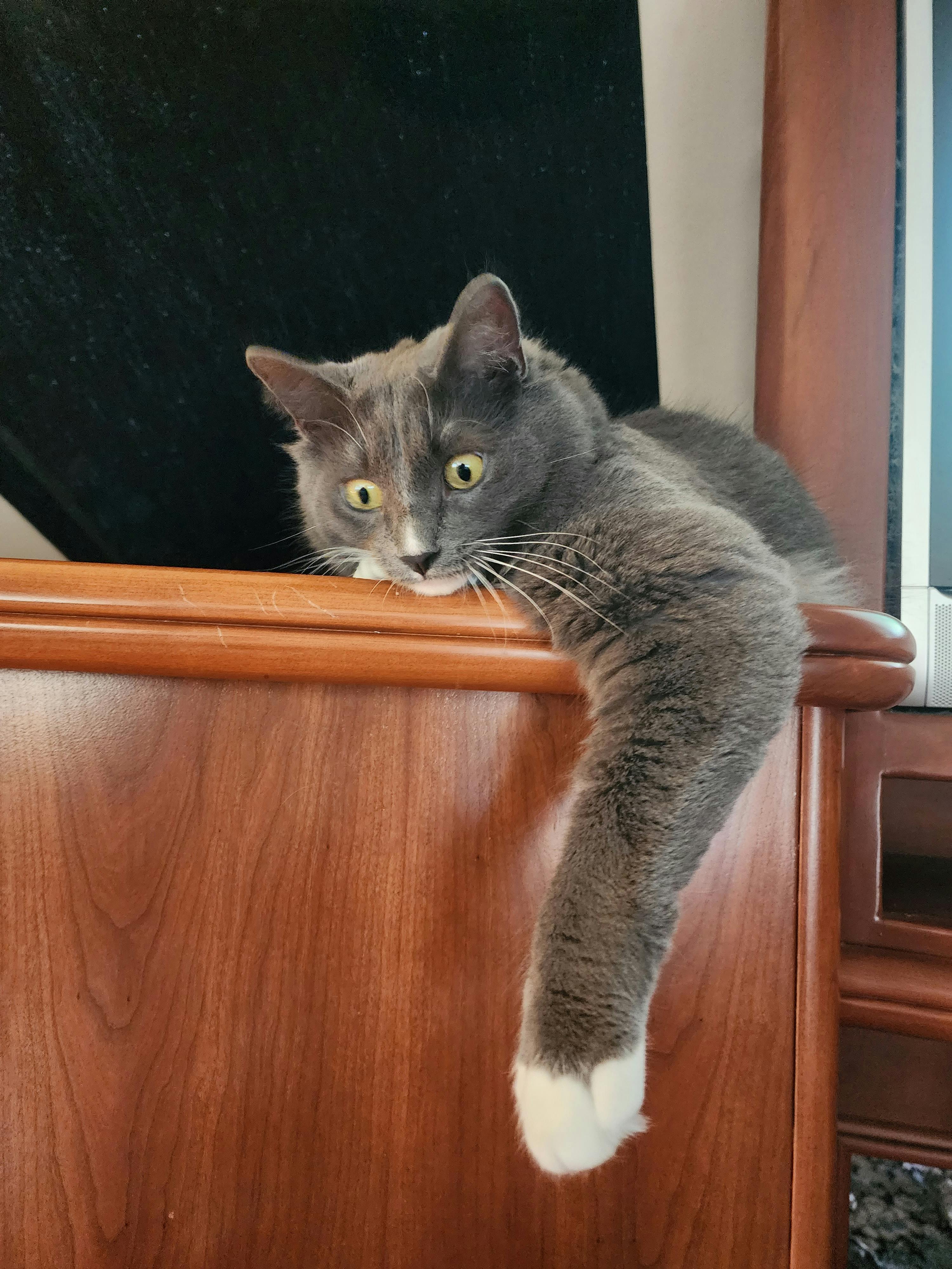 user avatar image for Jennine Cerra