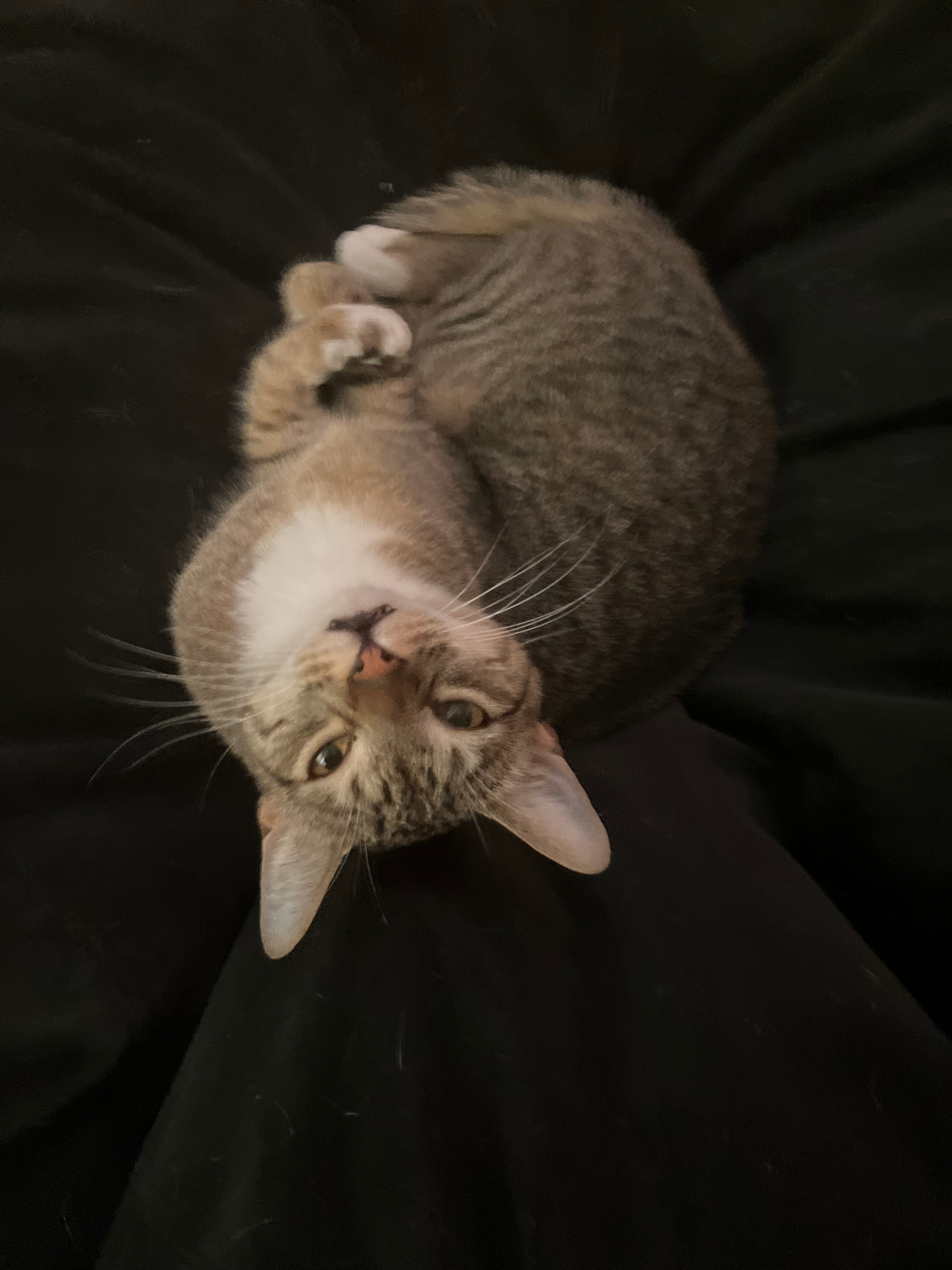 user avatar image for Sebastian