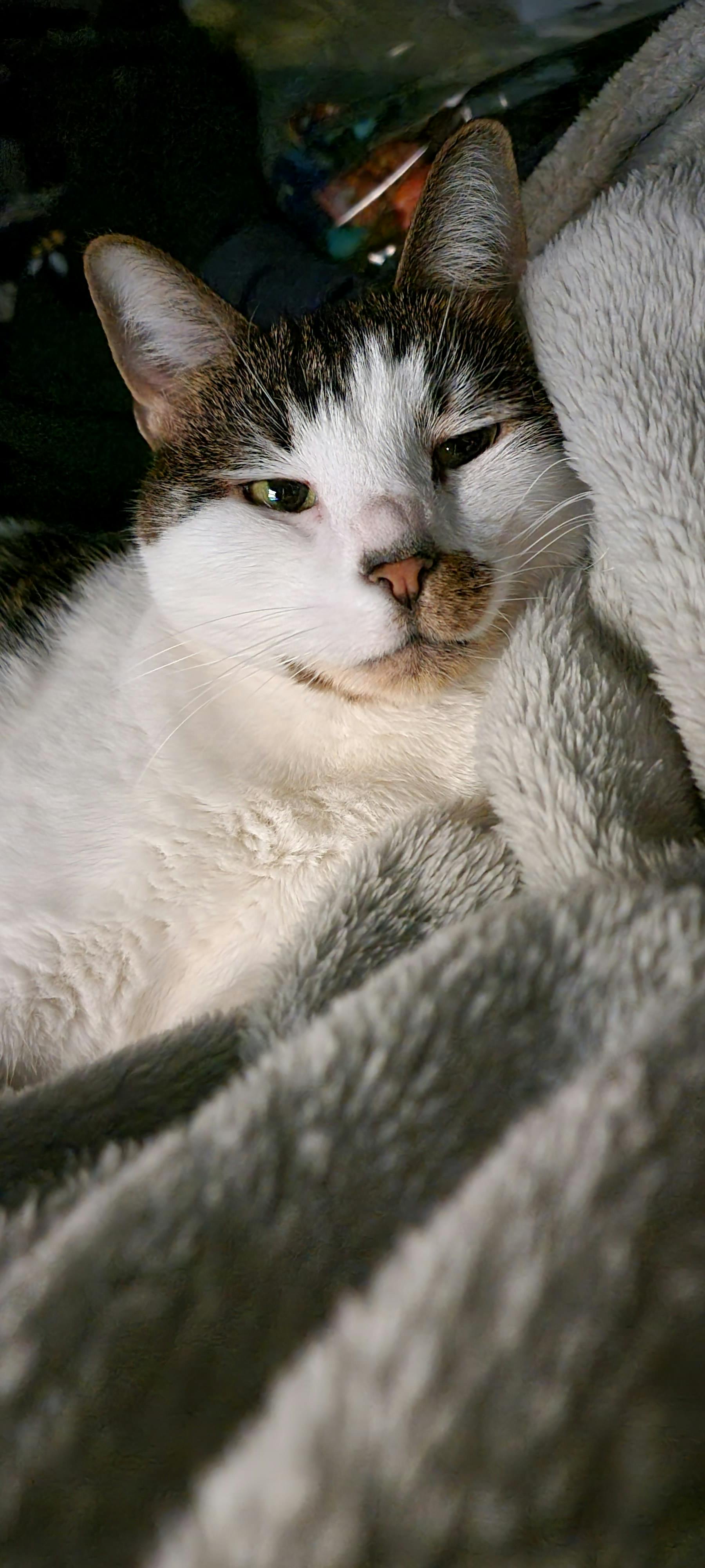 user avatar image for Katelyn