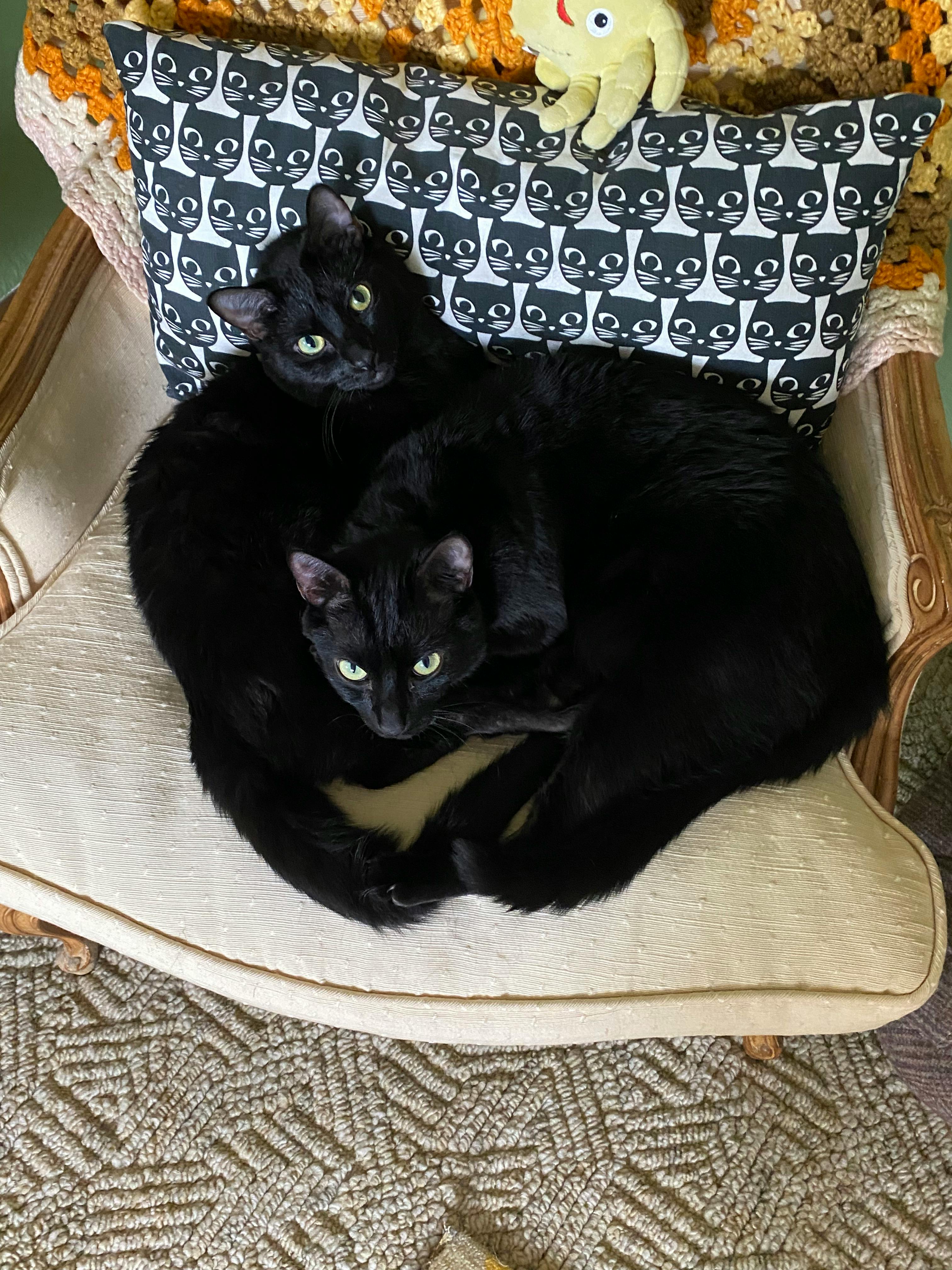 user avatar image for Tara