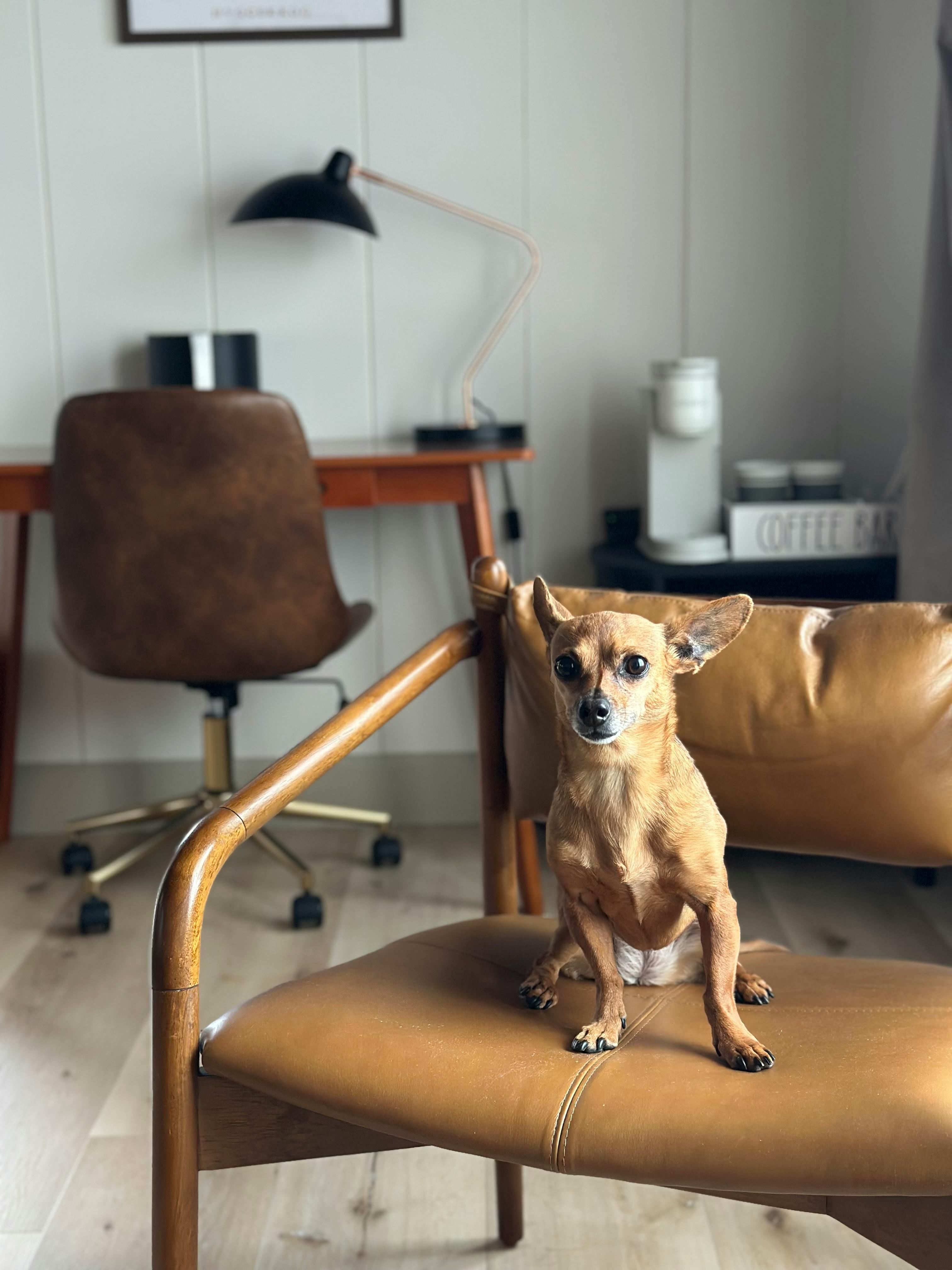 user avatar image for Emily L.