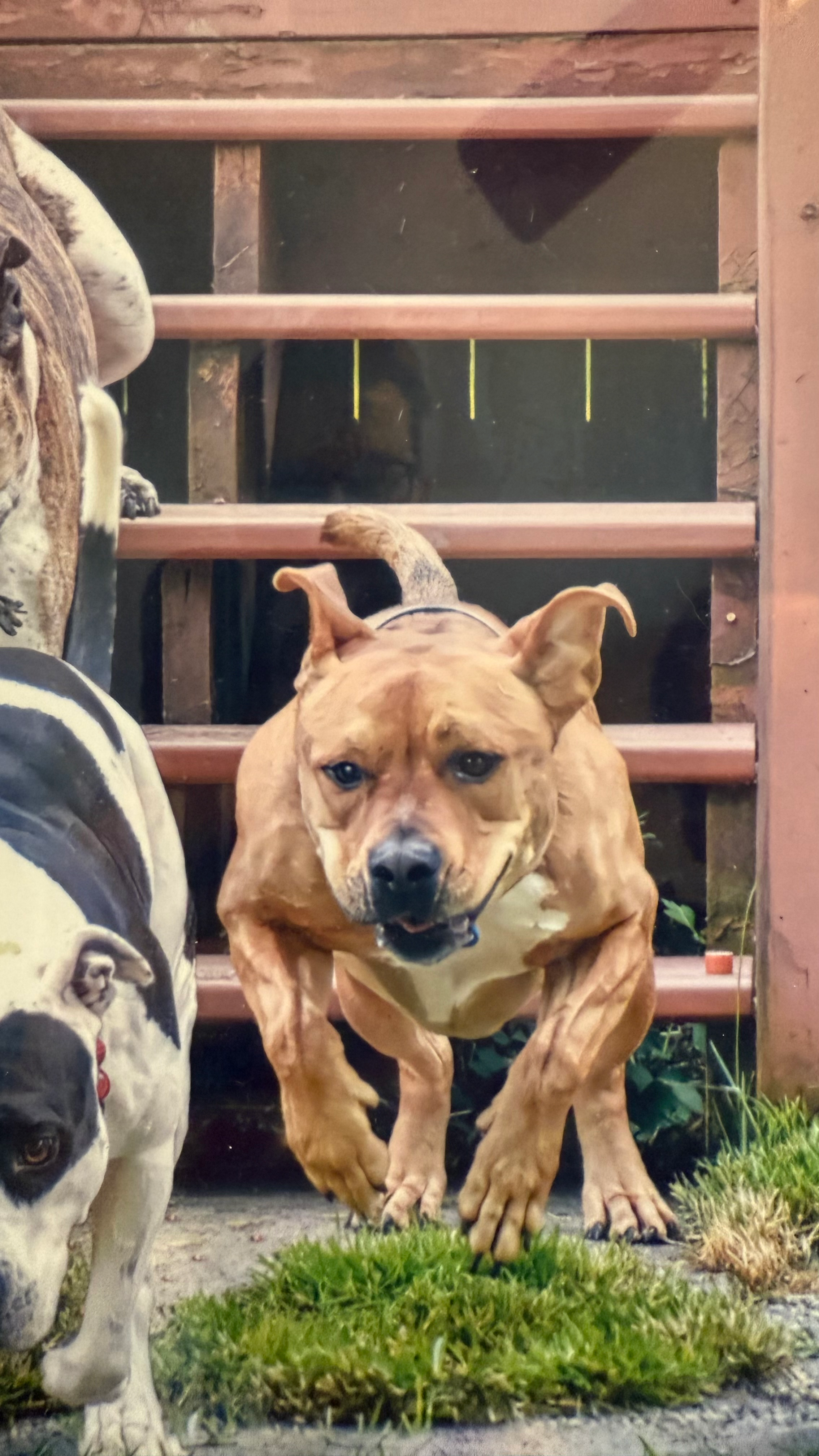 user avatar image for Calvin