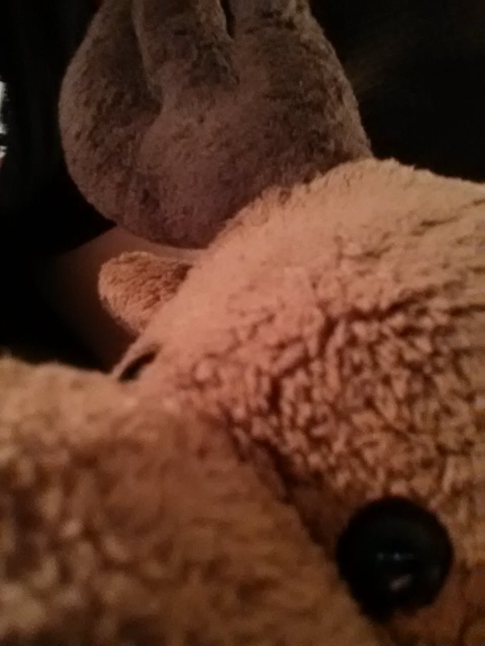 user avatar image for Jeff Seitz