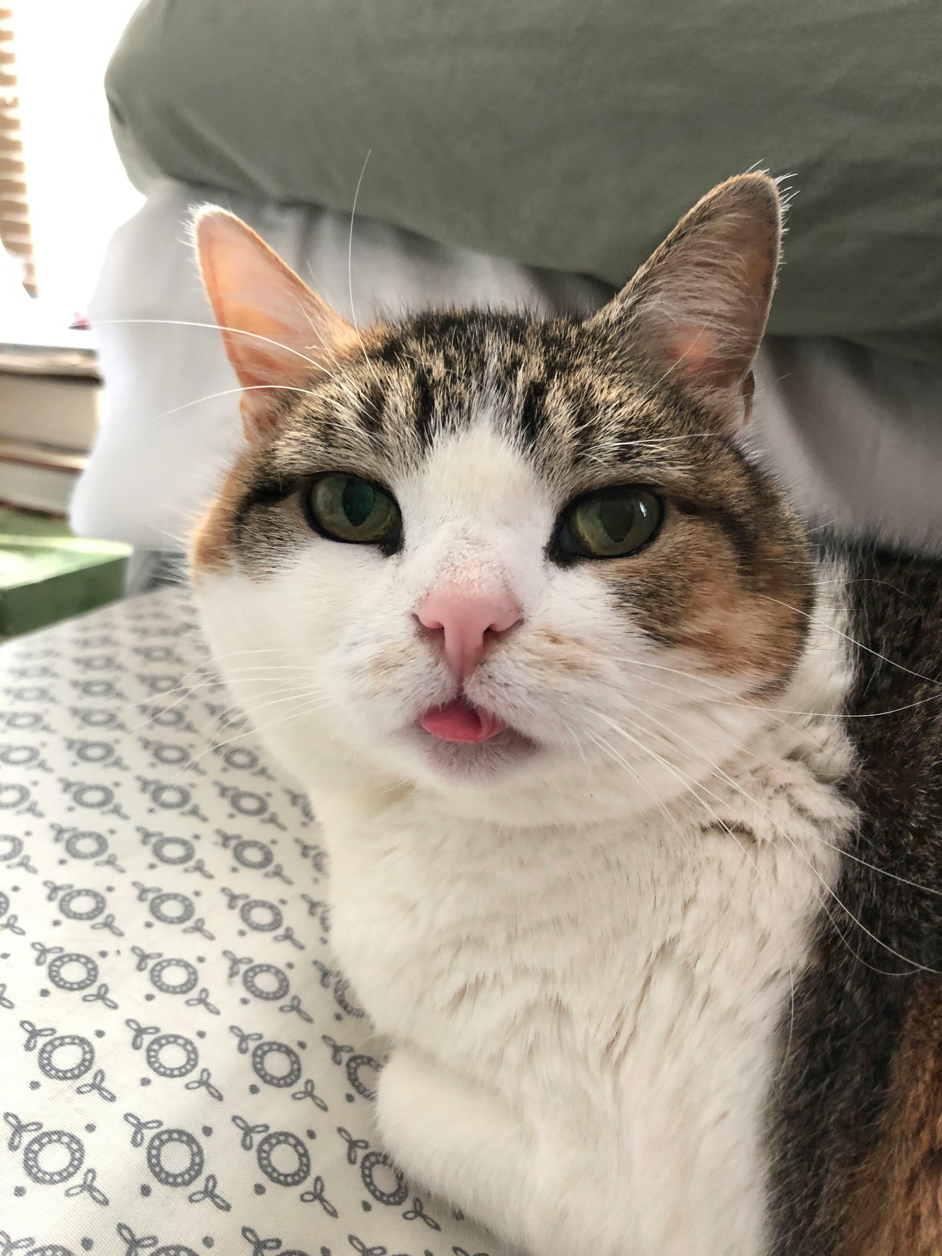 user avatar image for QuantumLobster